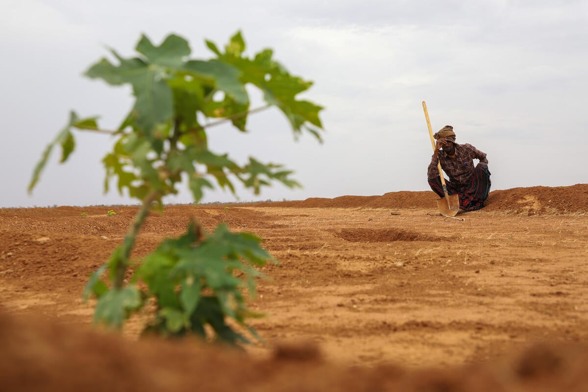 A pastoralist in Ubaley, near Gode, in the Somali region of Ethiopia, works on a half-moon land rehabilitation and regreening project