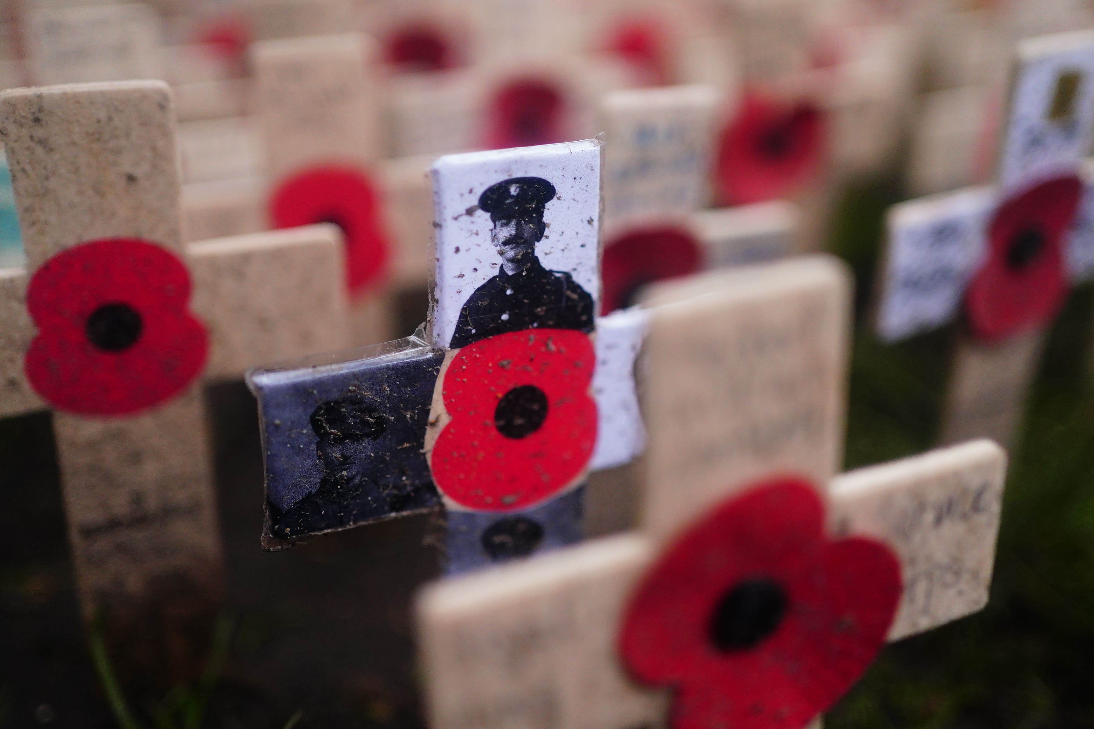 A black and white photograph of a member of the military on one of the memorial crosses on display at the Field of Remembrance ahead of a service at Westminster Abbey in London