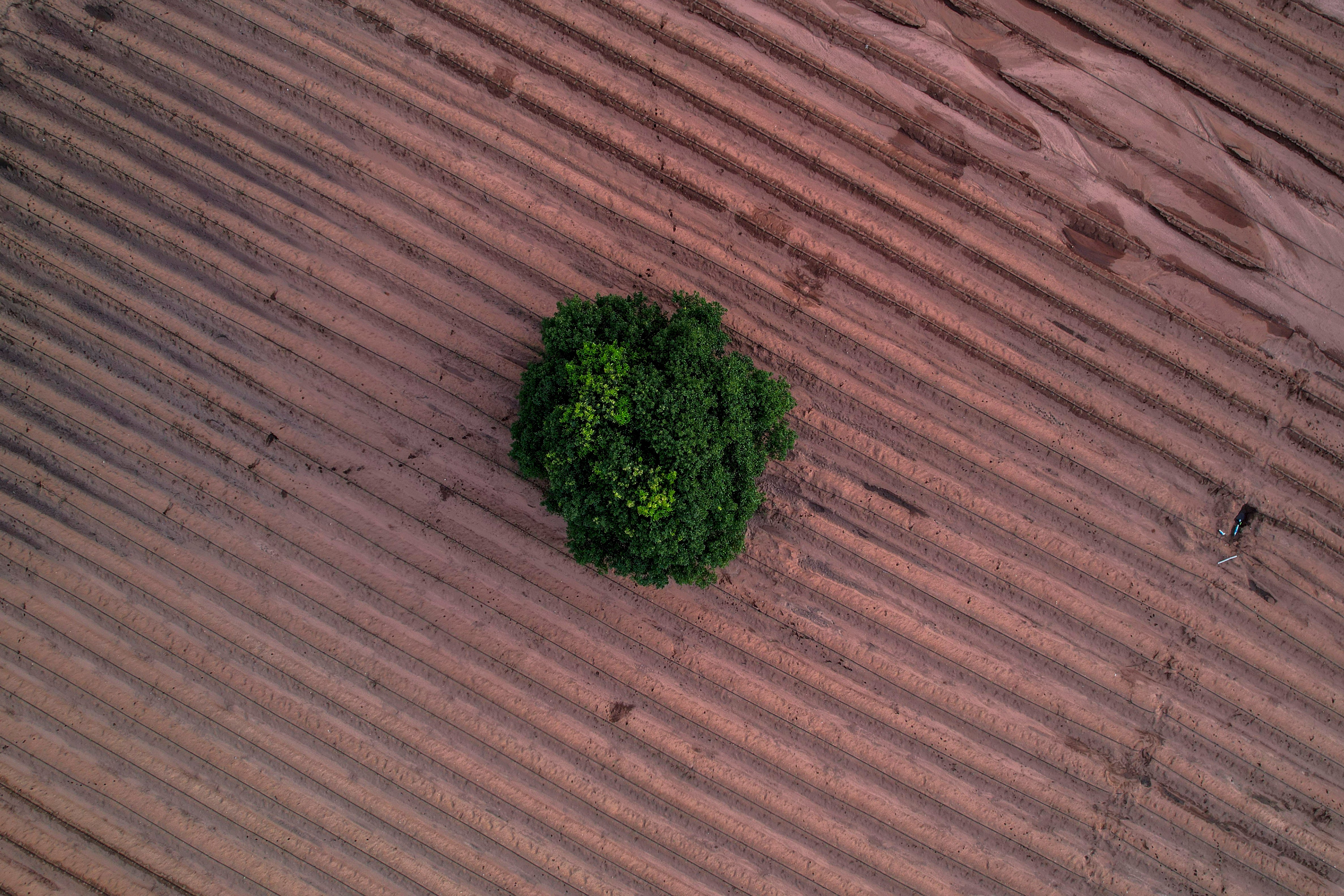 COP27 India Climate Desertification