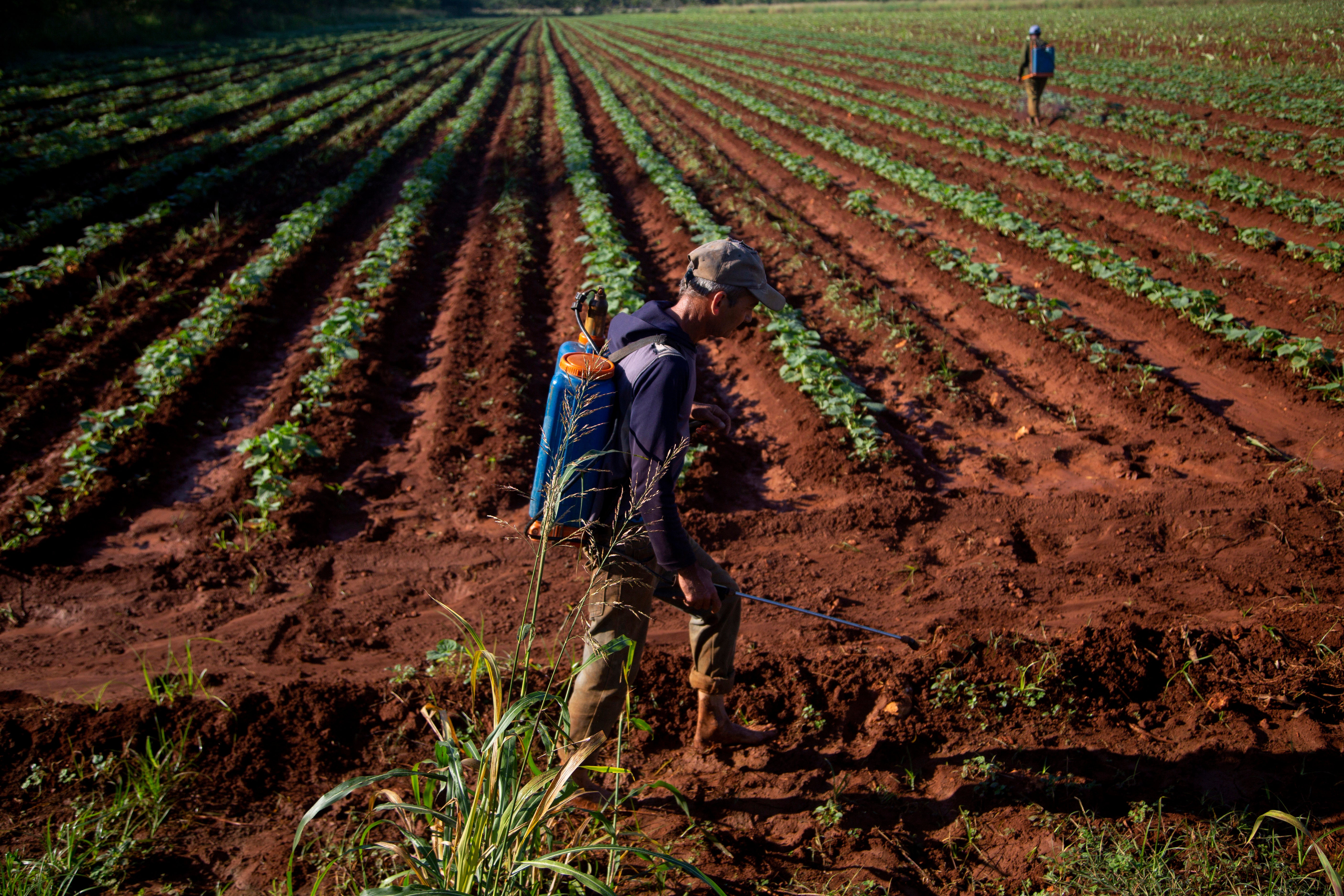 COP27 Loss Damages Cuba Climate Change