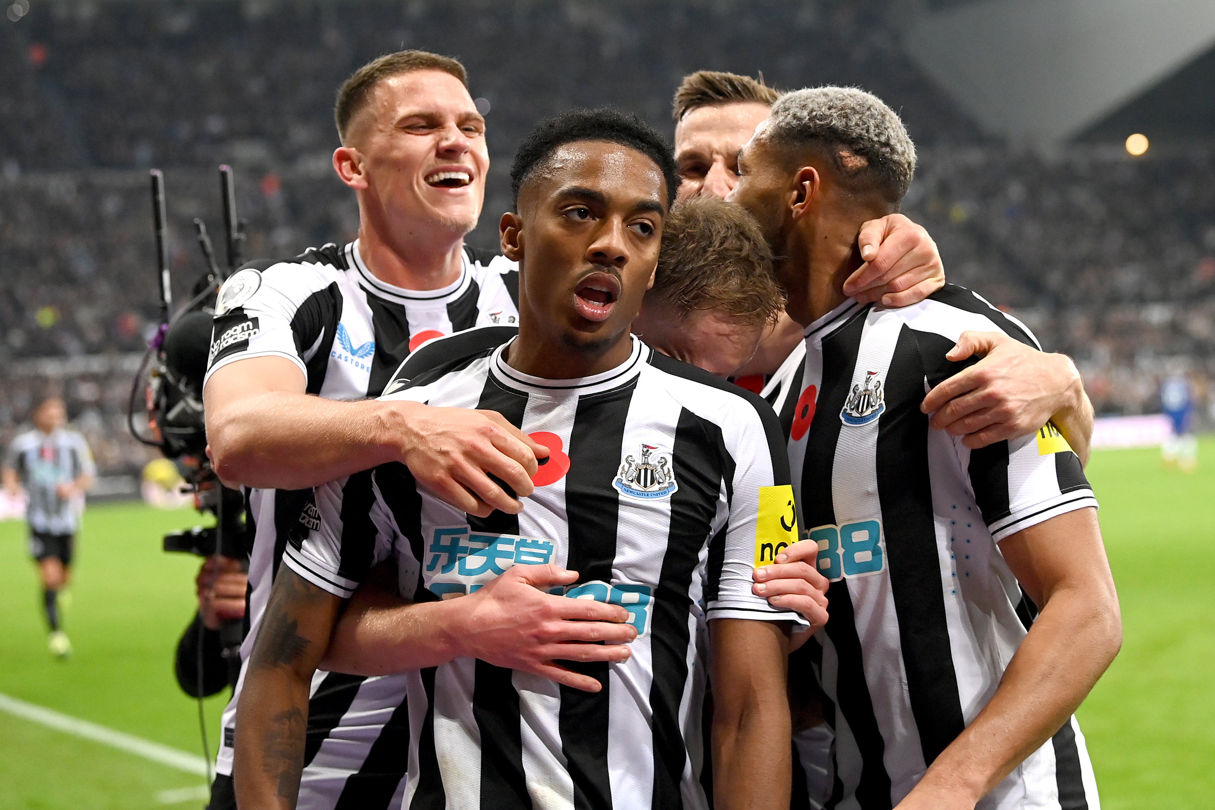 Joe Willock celebrates after scoring for Newcastle