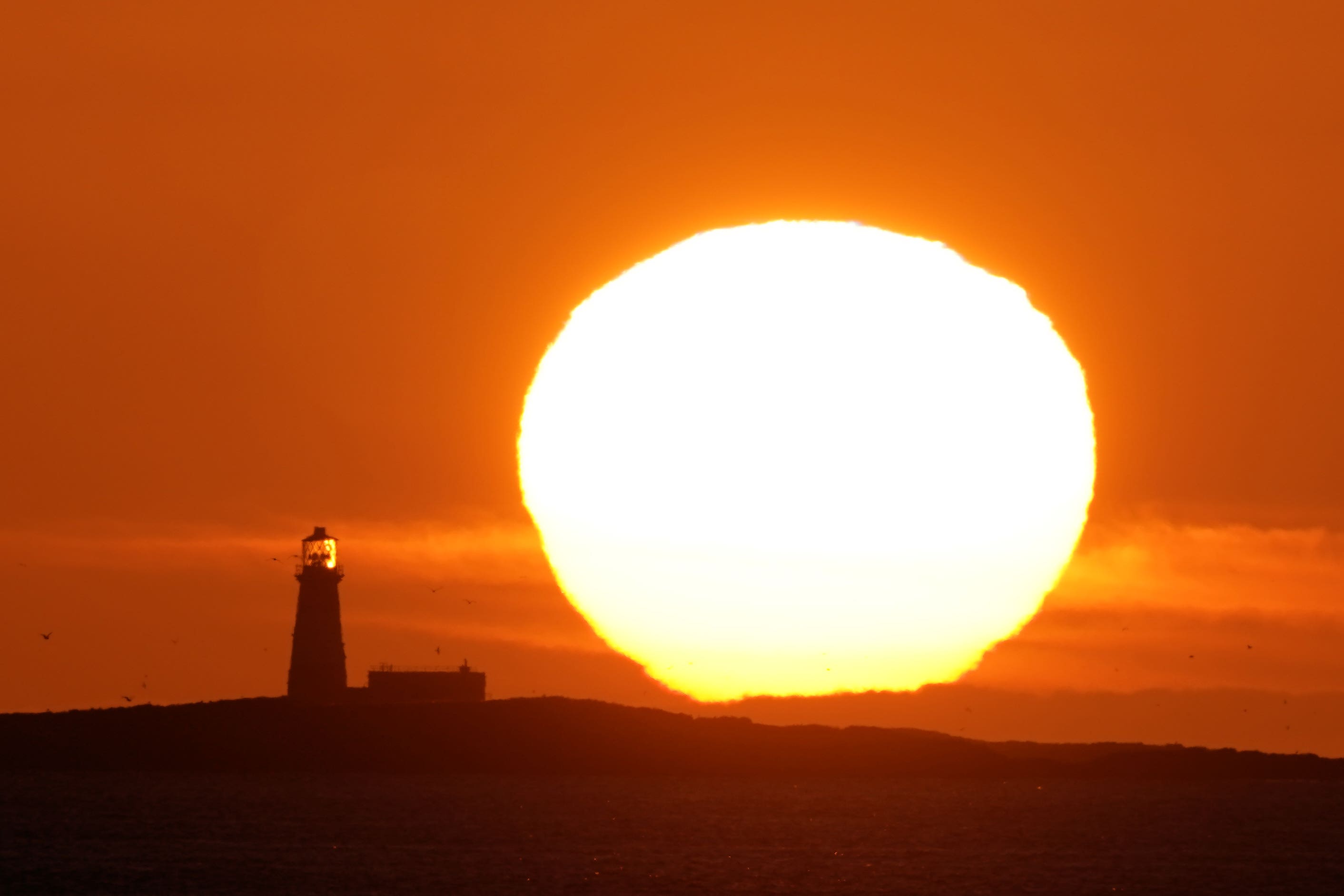 Mild conditions made for the warmest Remembrance Sunday on record for much of the UK (Owen Humphreys/PA)