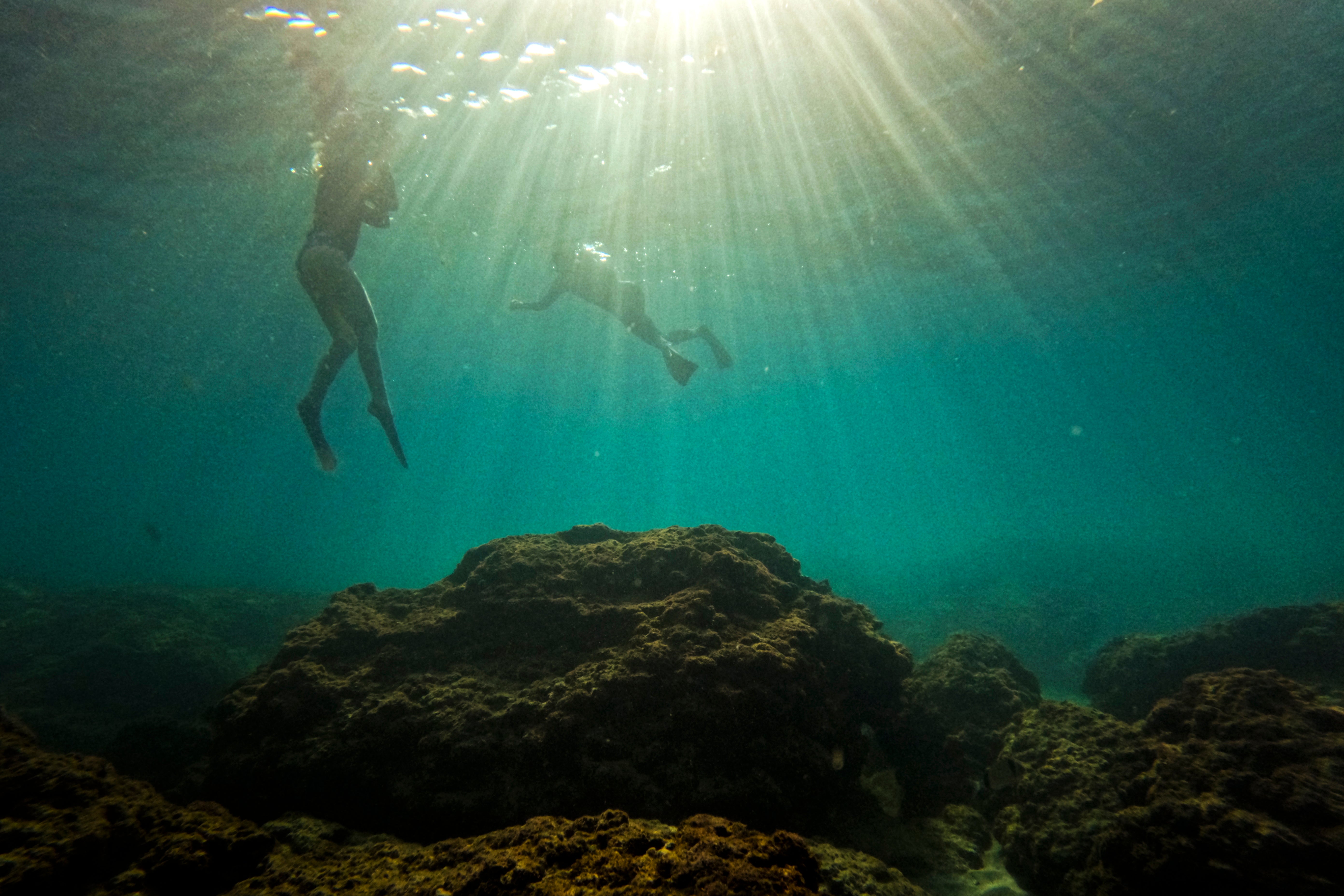 COP27 Israel Marine Protected Areas