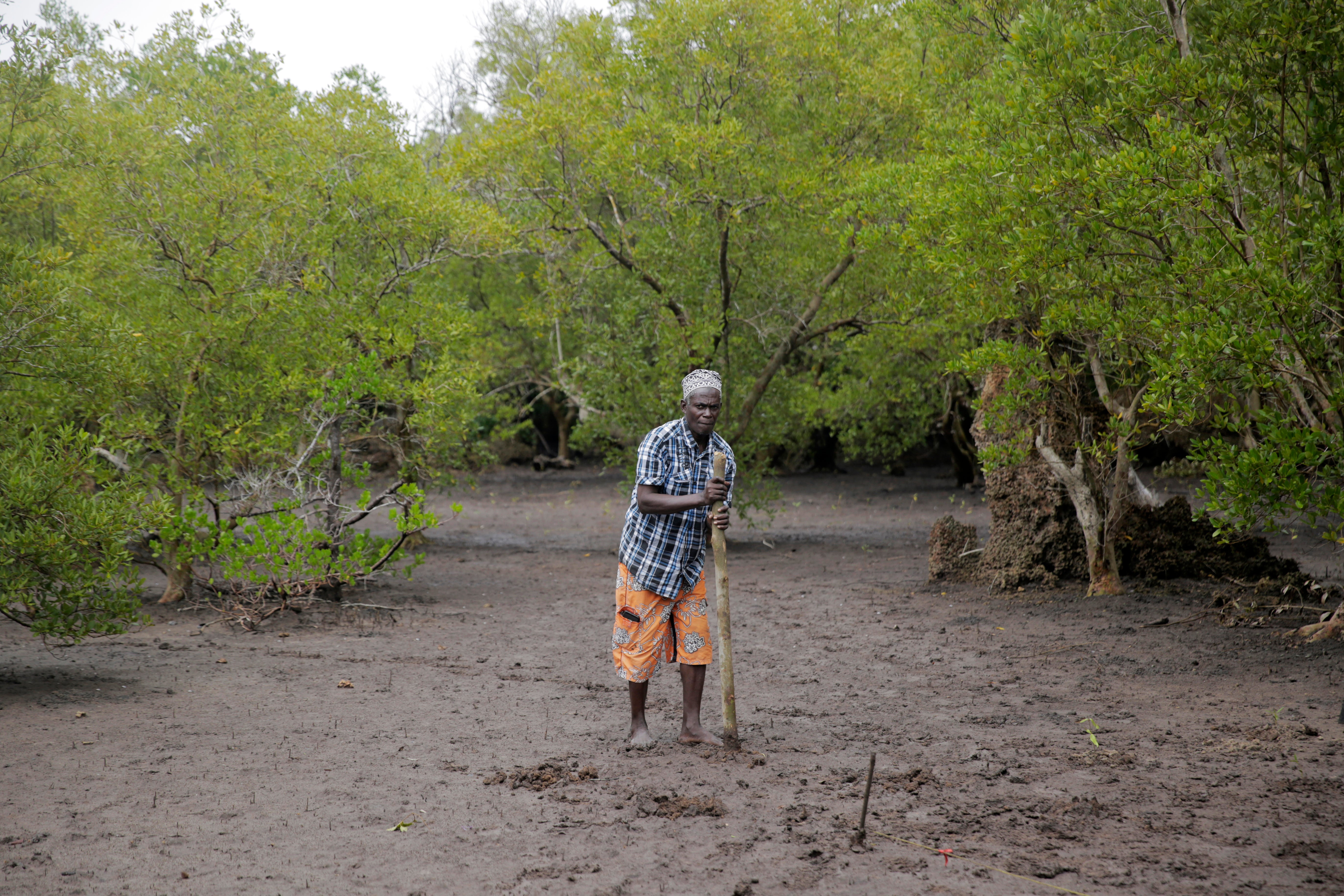 COP27 Africa Carbon Market