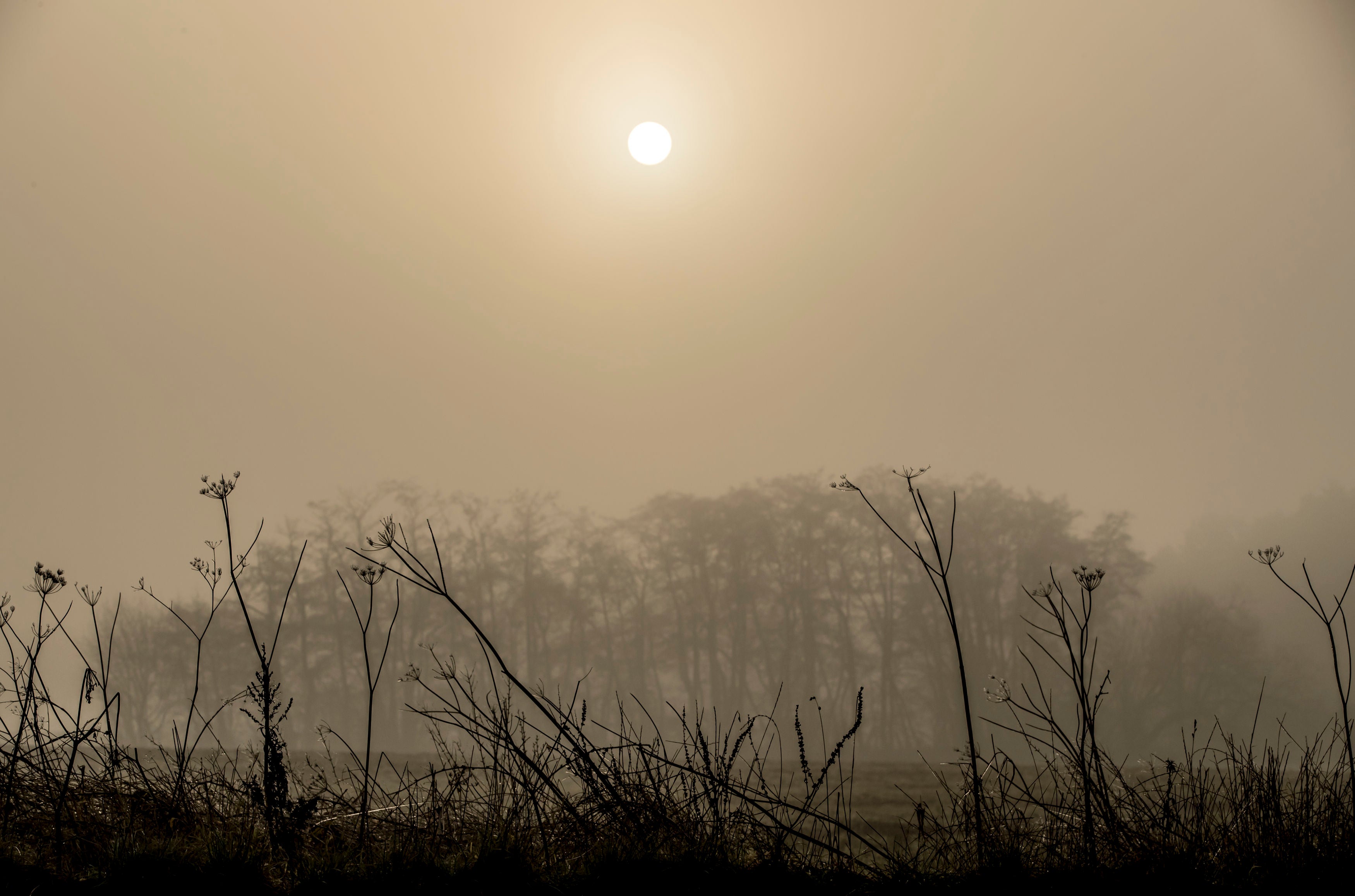 A yellow warning is in place for fog and people are being asked to drive carefully