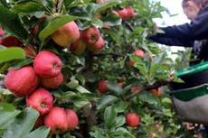 The UK is not entitled to cheap migrant labour