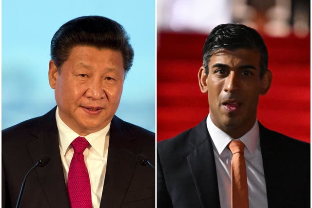 <p>Xi Jinping and Rishi Sunak</p>