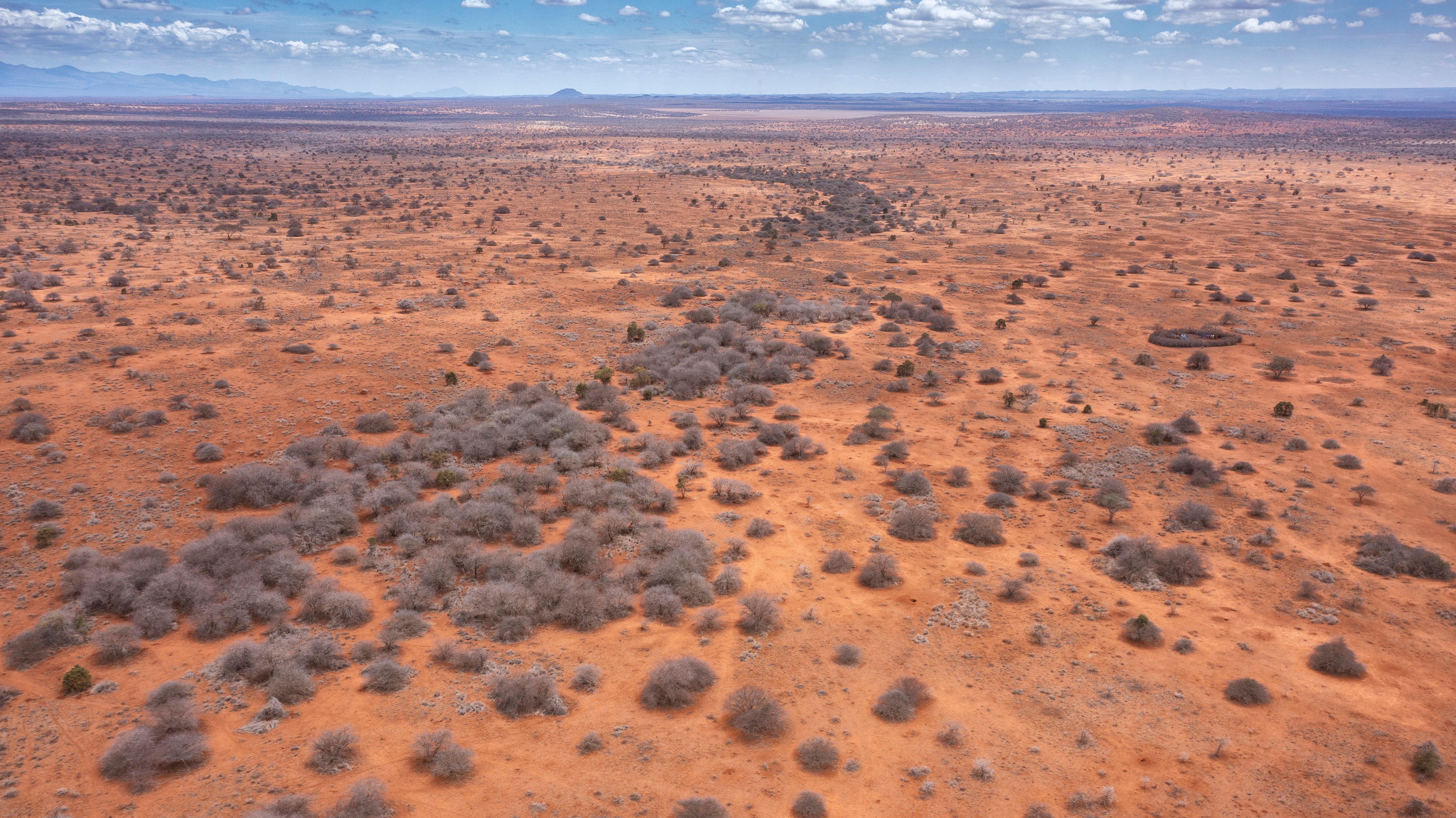 Landscape image from around the edge of Amboseli National Park. There is no grass and the bushes have no leaves due to drought conditions