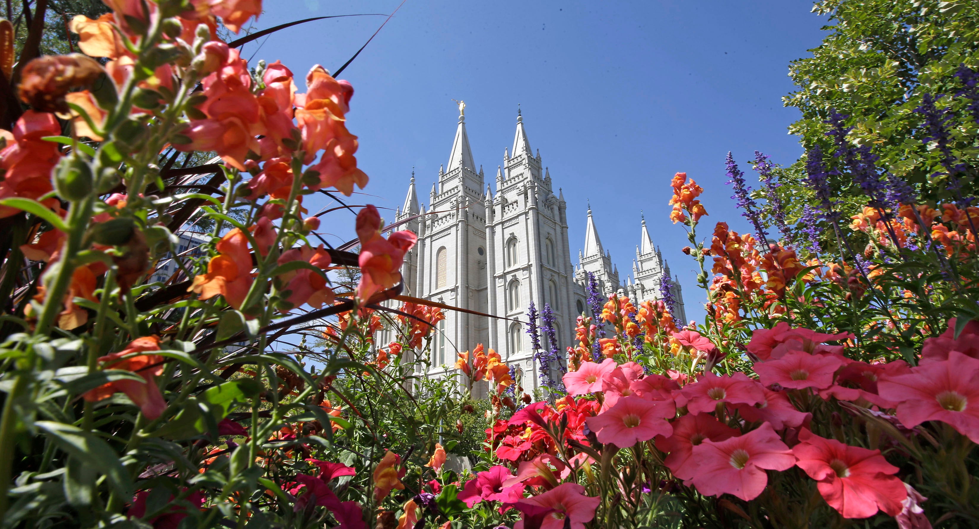 Mormon Church Gay Marriage