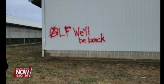 Vandals who broke into an Ohio mink farm daubed the Animal Liberation Front insignia in graffiti