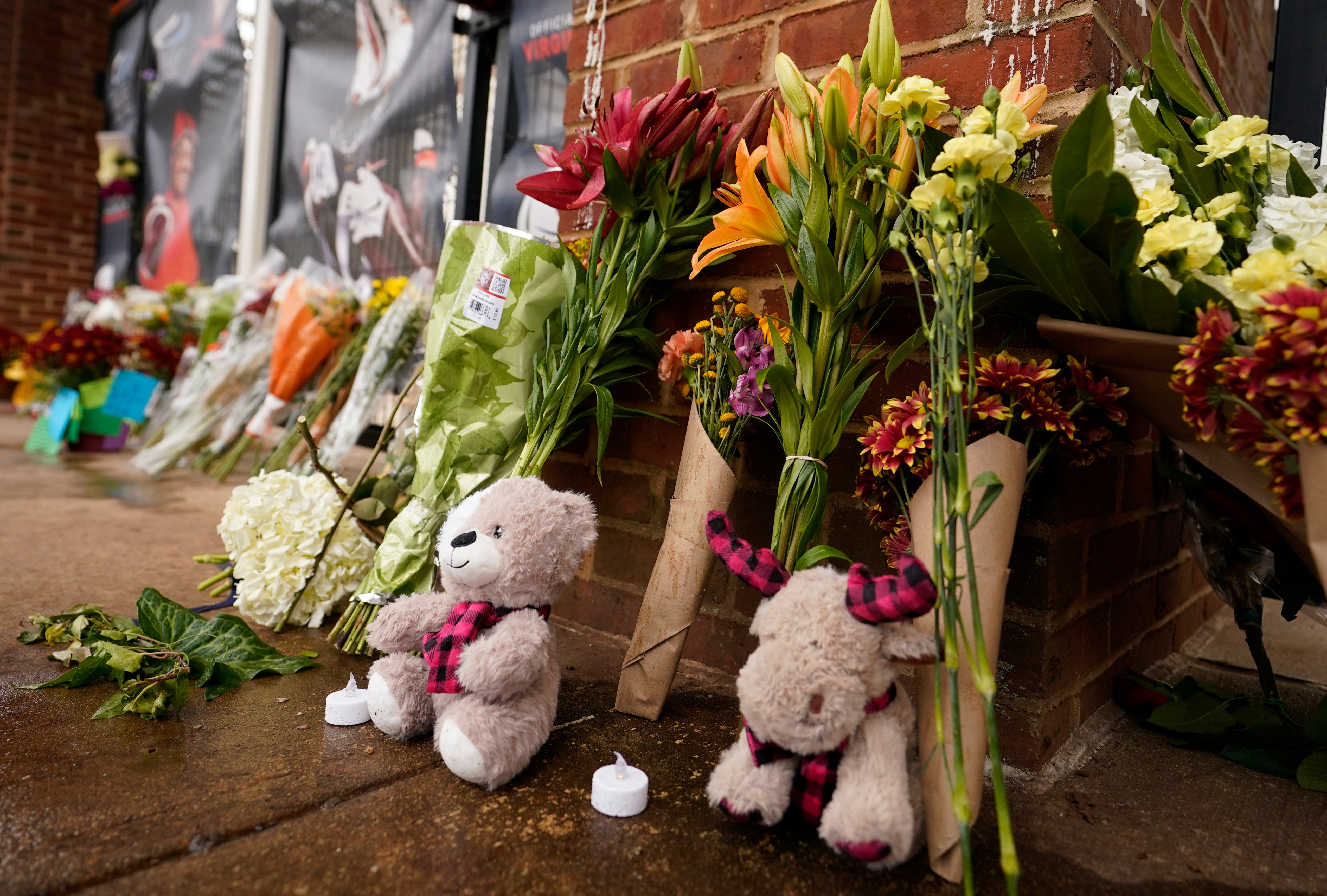 University of Virginia Shooting