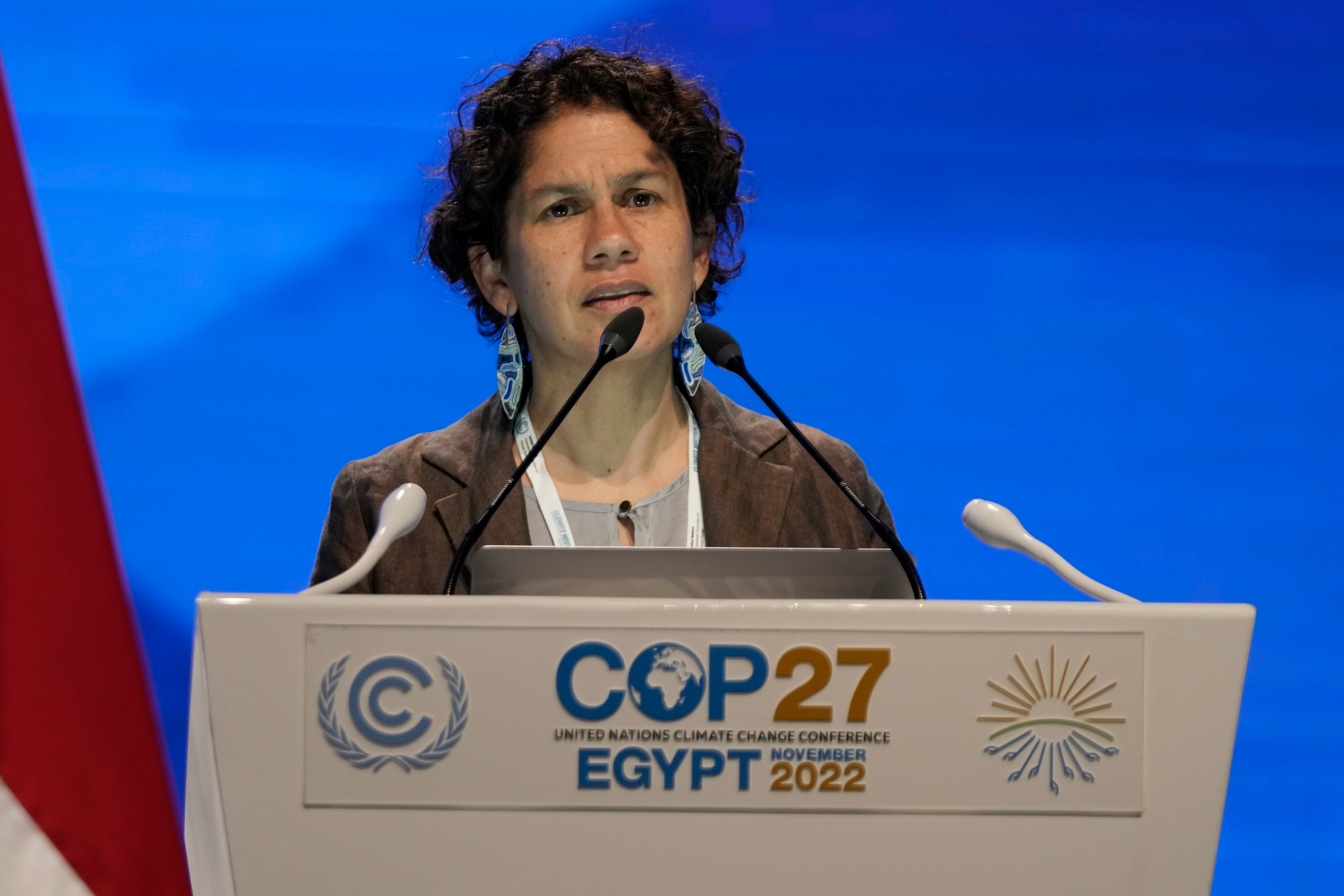 COP27 Women Negotiators