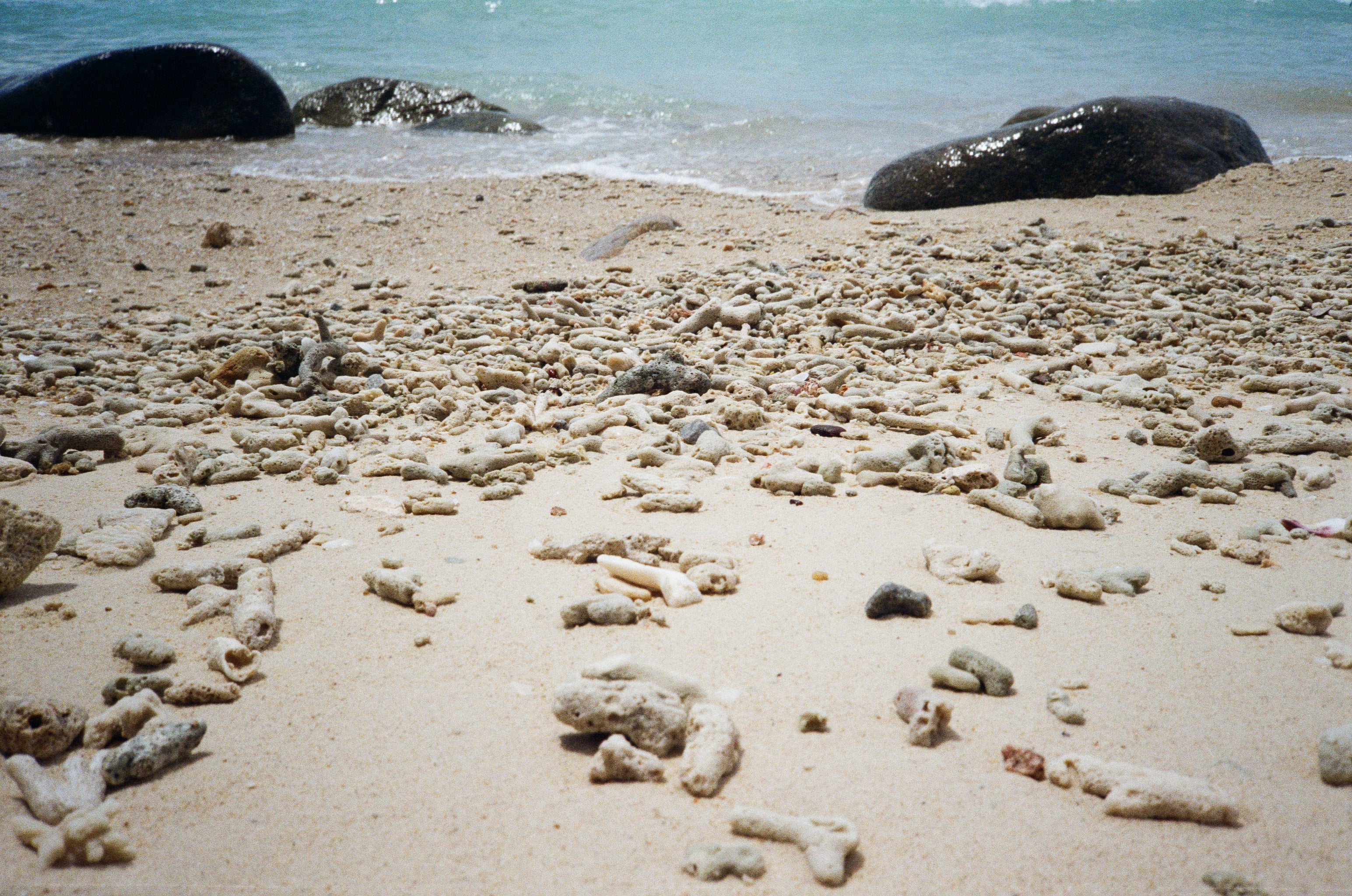 The corals in this inlet on Perhentian were once so abundant that it was impossible to walk on the seafloor