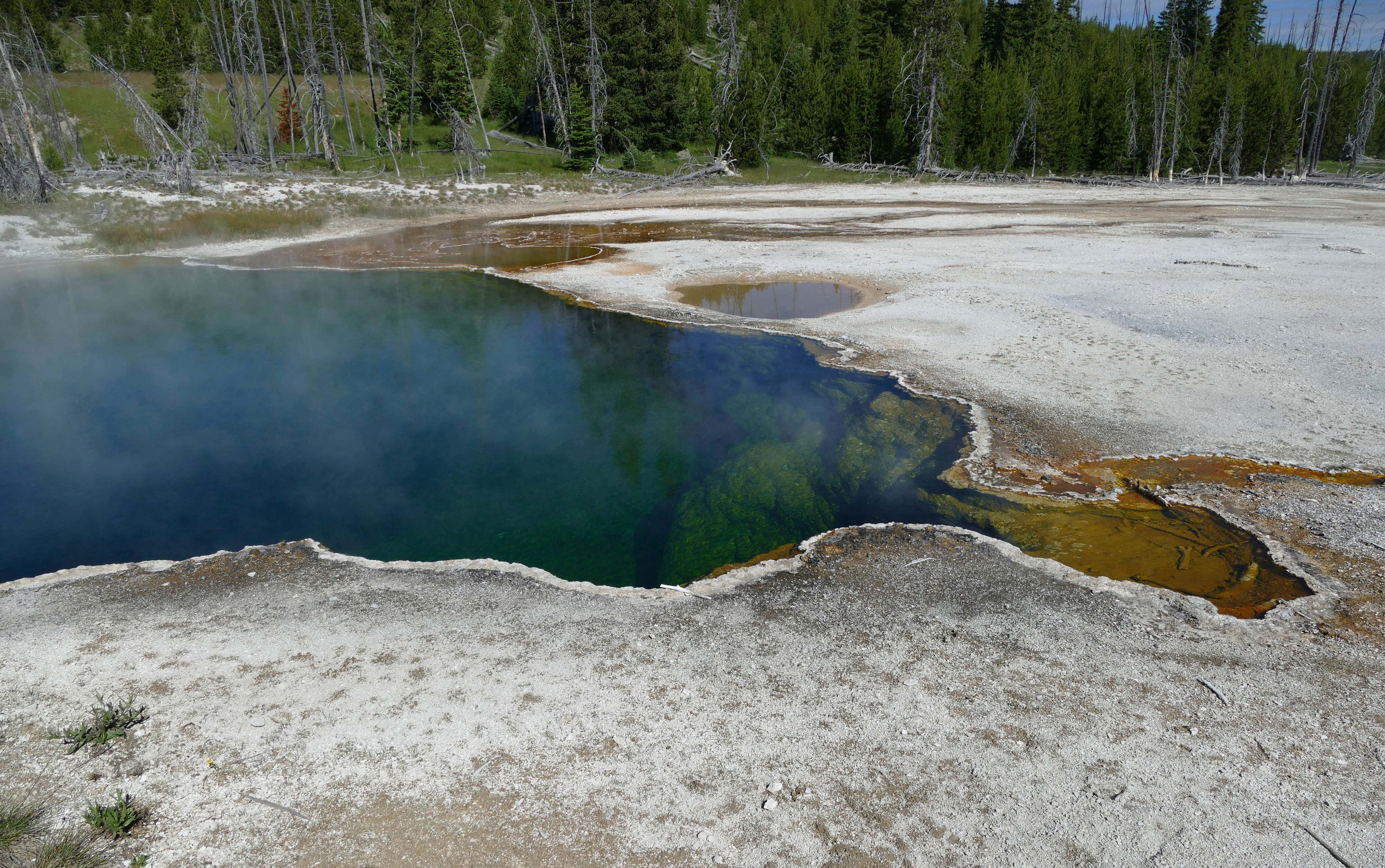 Yellowstone Hot Spring Foot Found