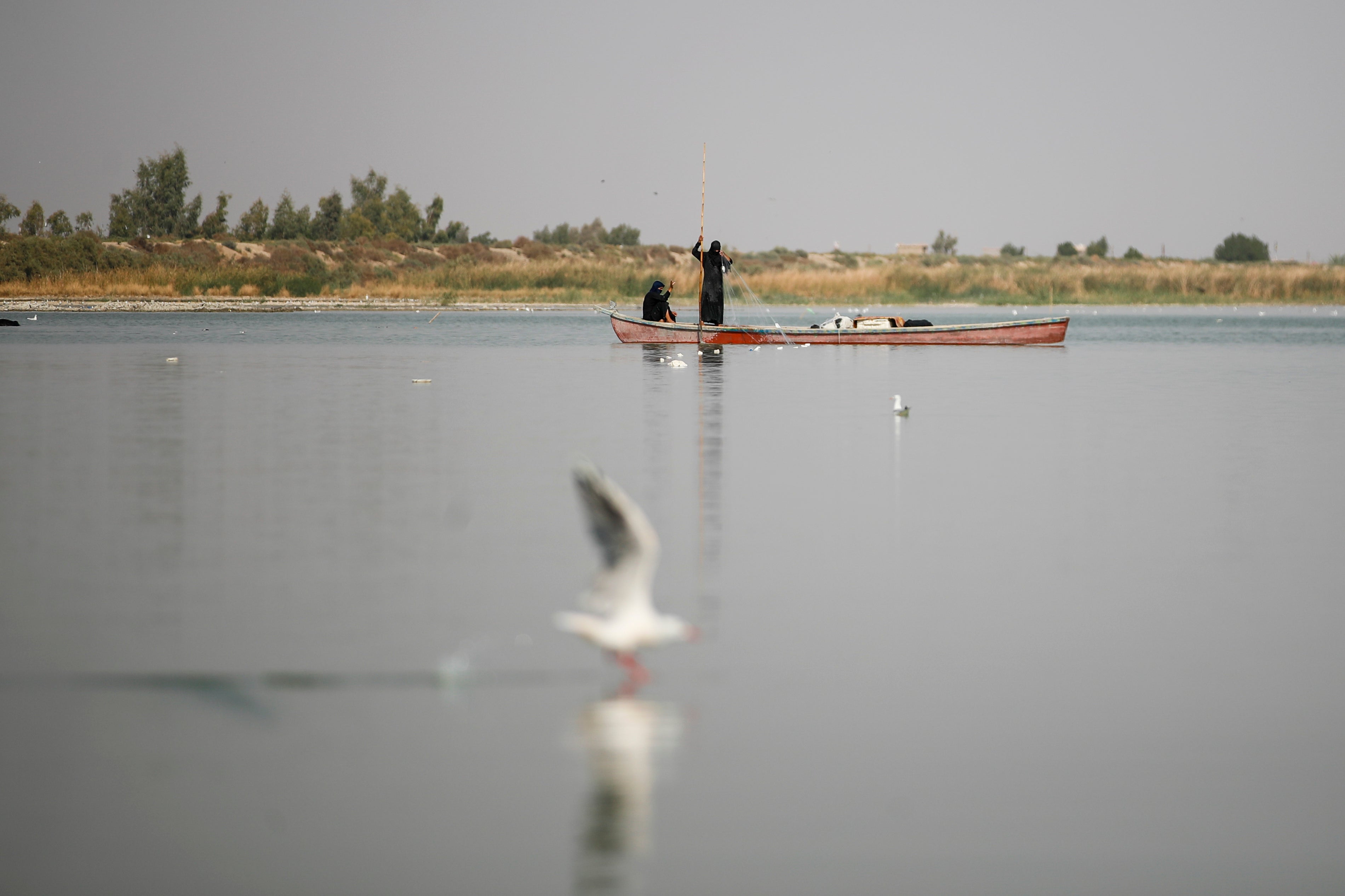 COP27 Rivers in Peril