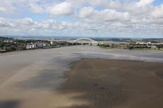 River Mersey now home to sharks after decades-long clean-up