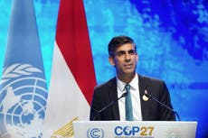 Sunak says ‘more must be done’ to tackle climate change after Cop27 deal