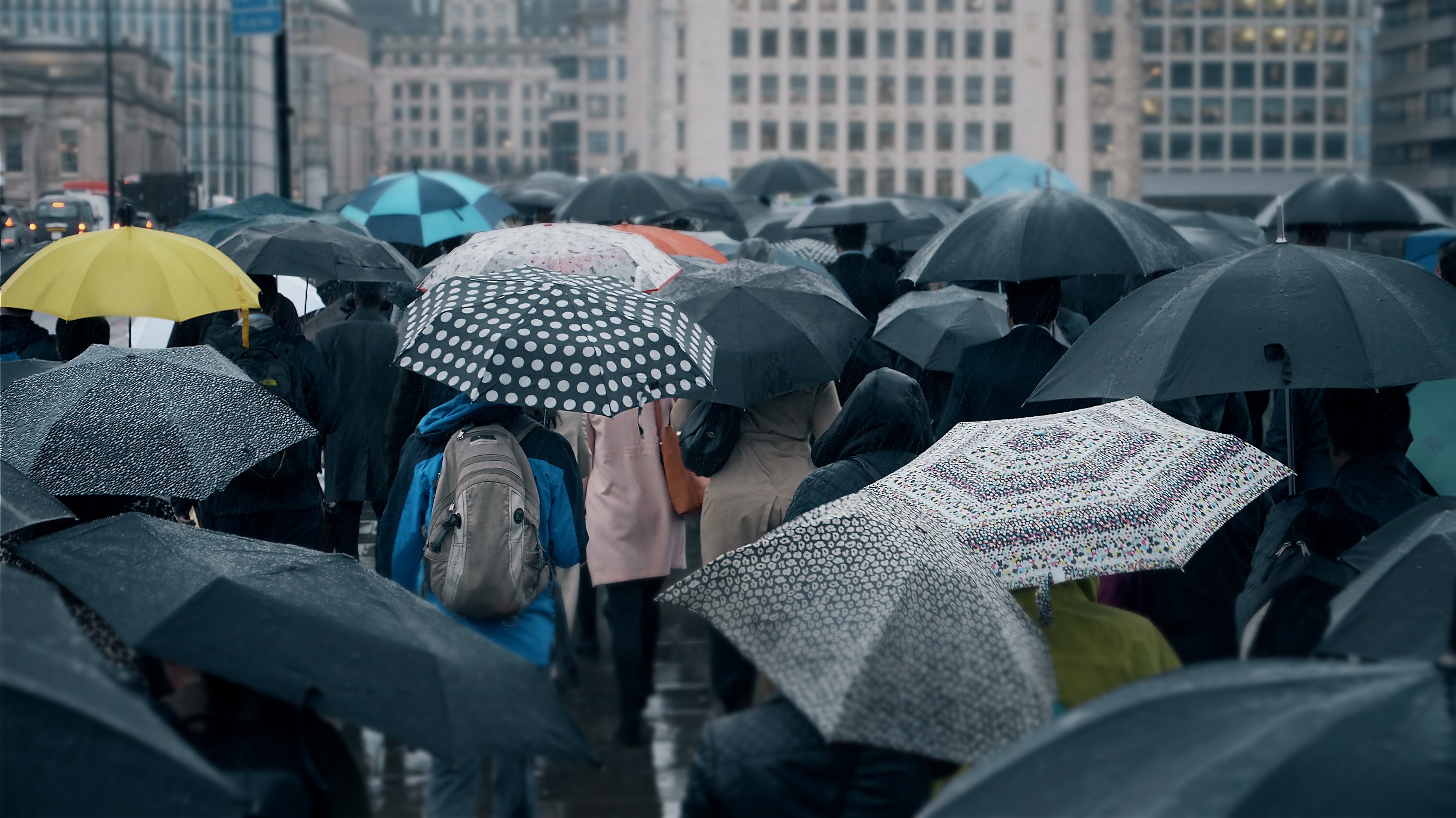 ‘Wet and windy’ weather in store for this week