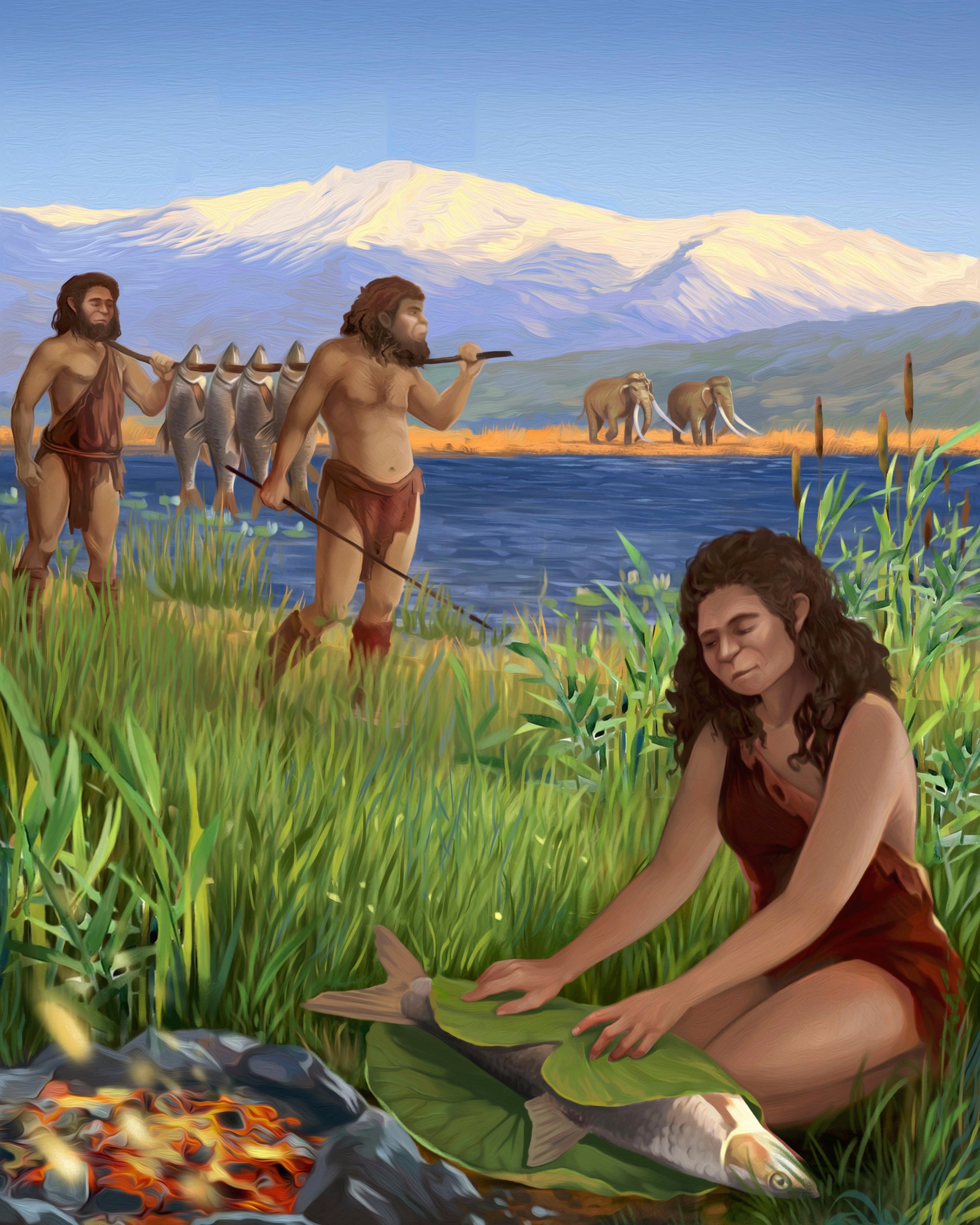 Cooking-Feasts-Evolution