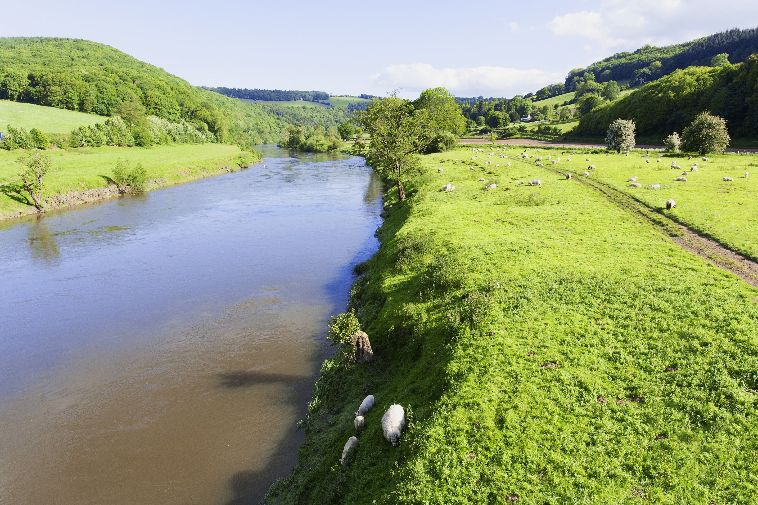 Police investigating whether man who died was involved in altercation before fall into River Wye