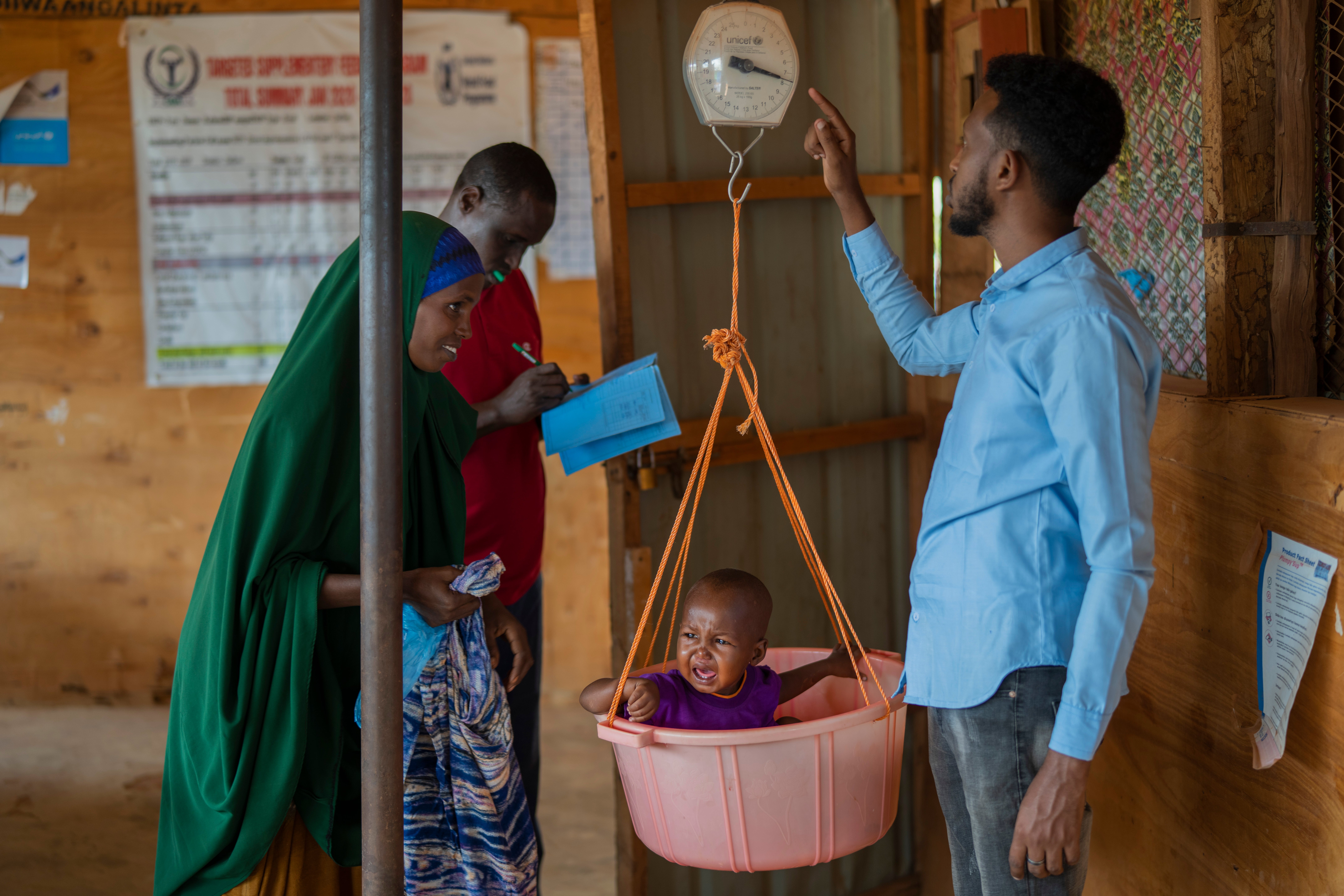 COP27 Conflict Food Insecurity