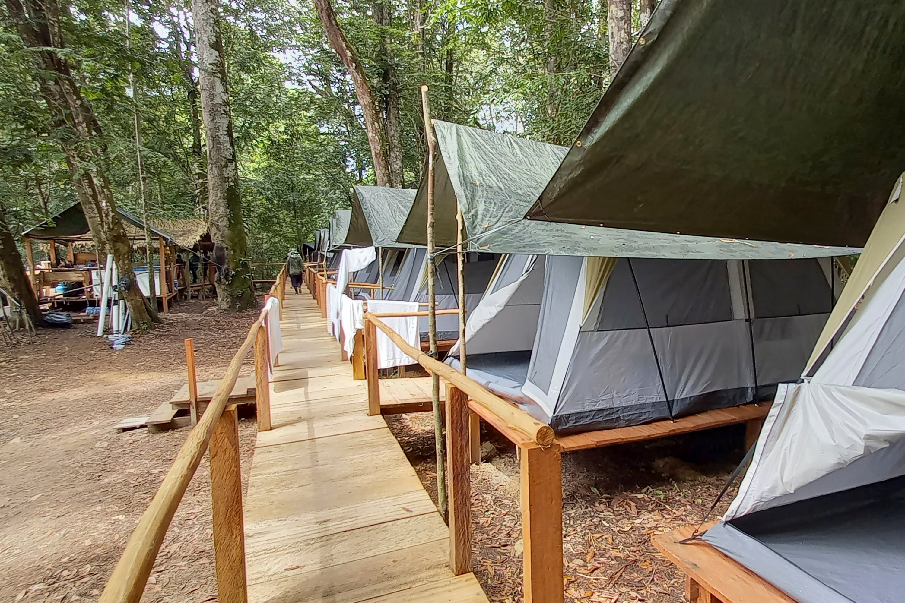 Brazil Illegal Fishing Tours