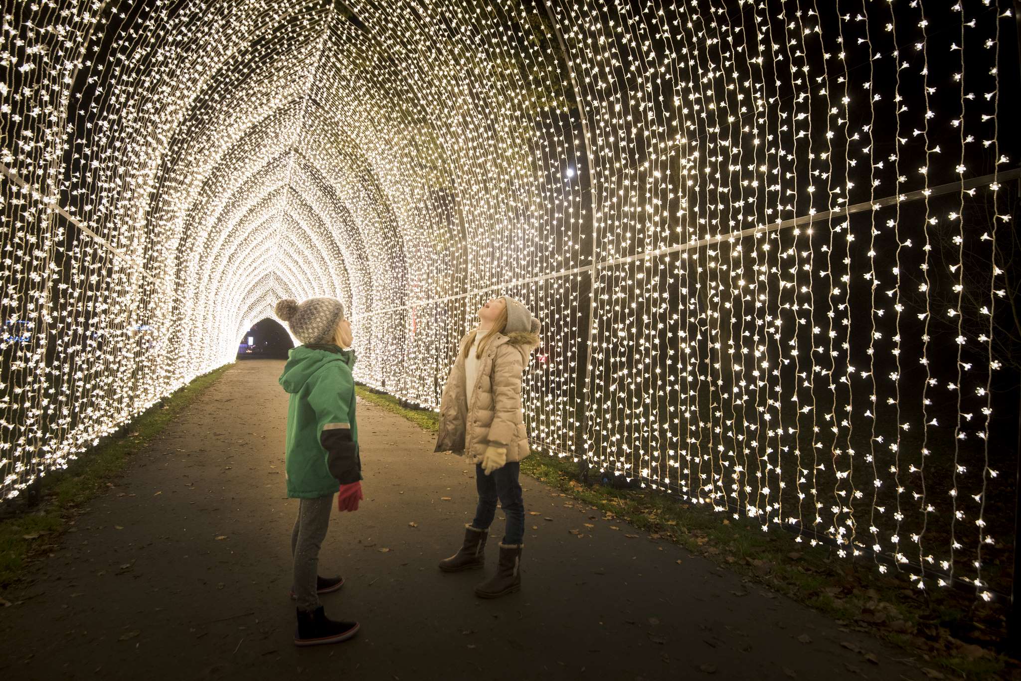 Christmas at Kew