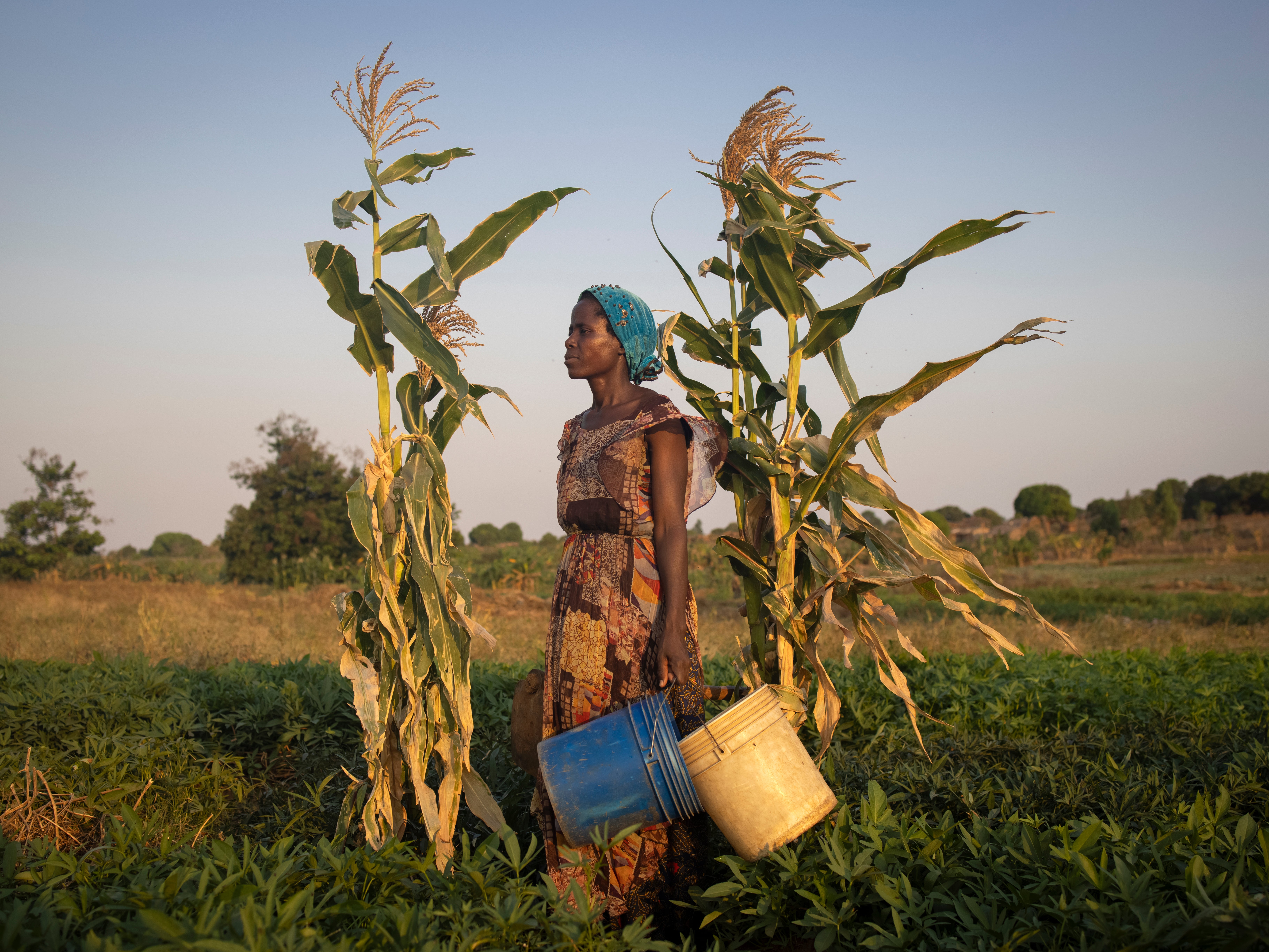 Dorotea, a mother of seven, waters her potato field near Maratane refugee settlement in Nampula Province, Mozambique