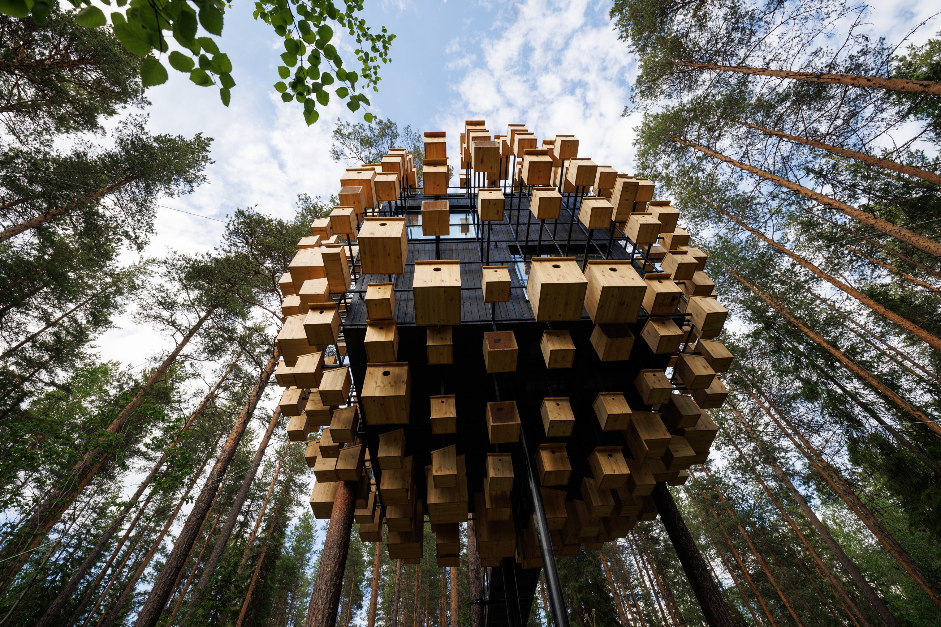 The unique room is suspended in the trees and covered in bird boxes