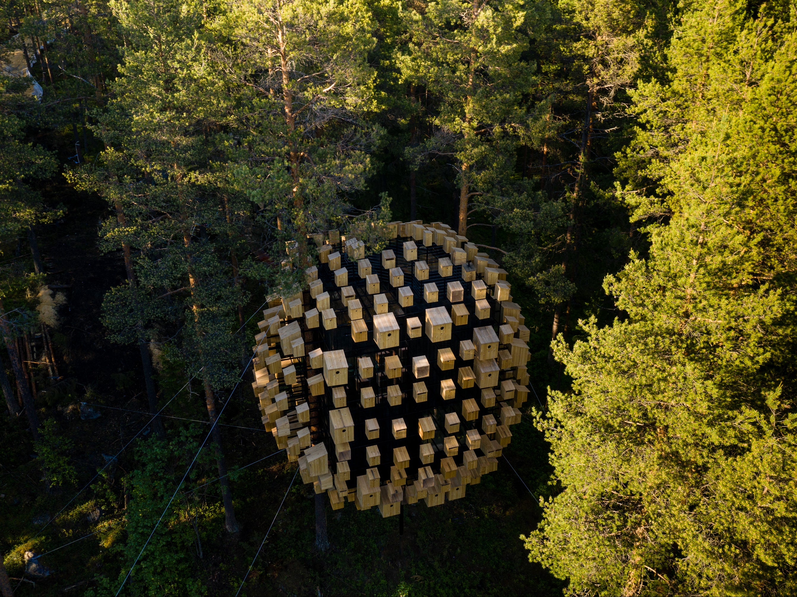 Biosphere is surrounded by forest