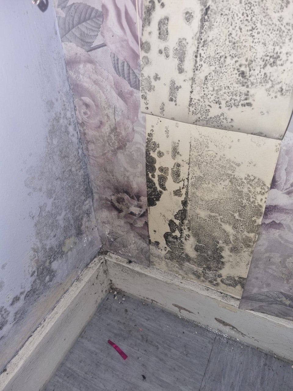 Black mould in Sammie’s children’s bedroom