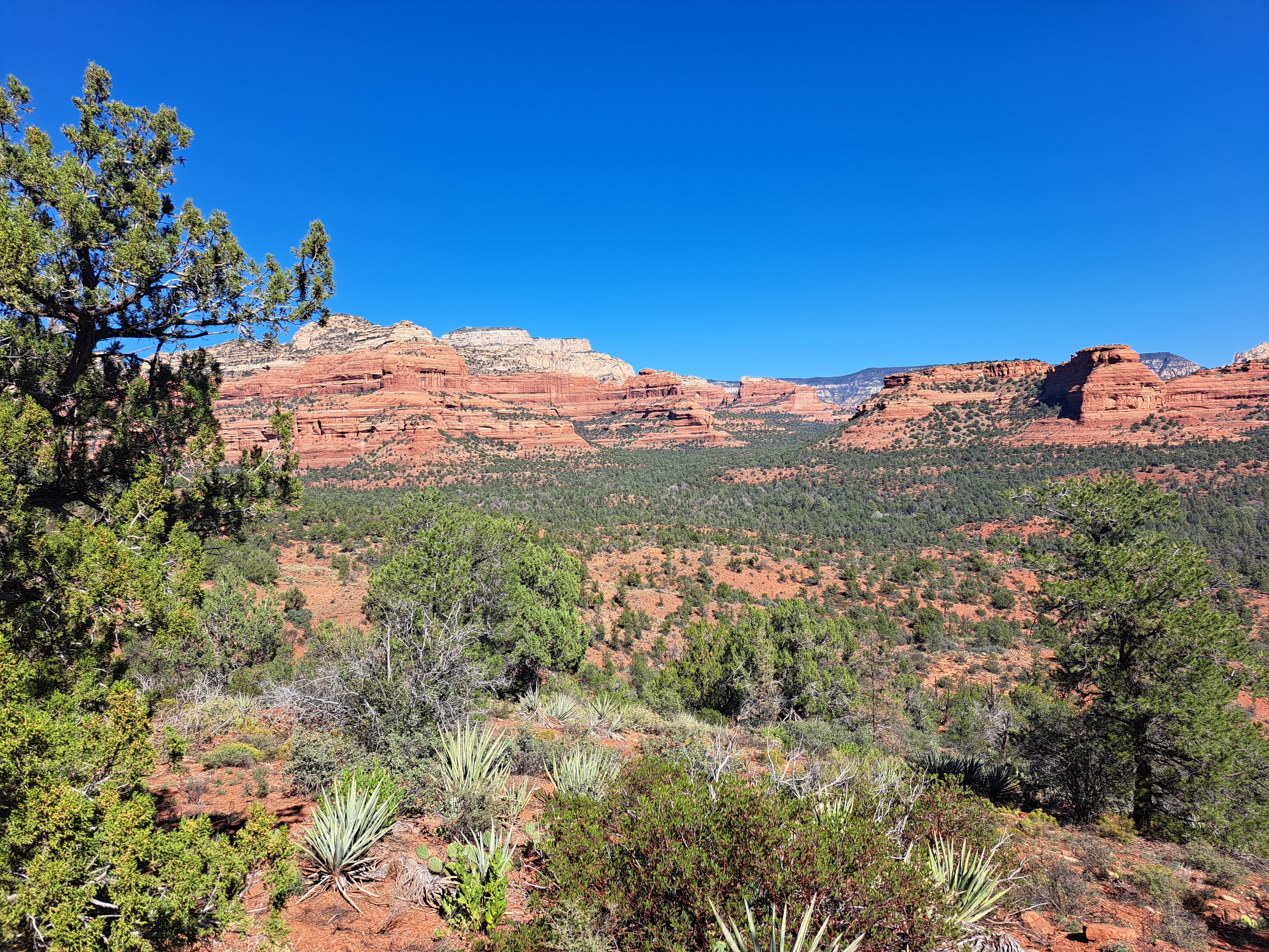 Neuro-stimulating red rock backed by blue creates the ‘vortex effect’