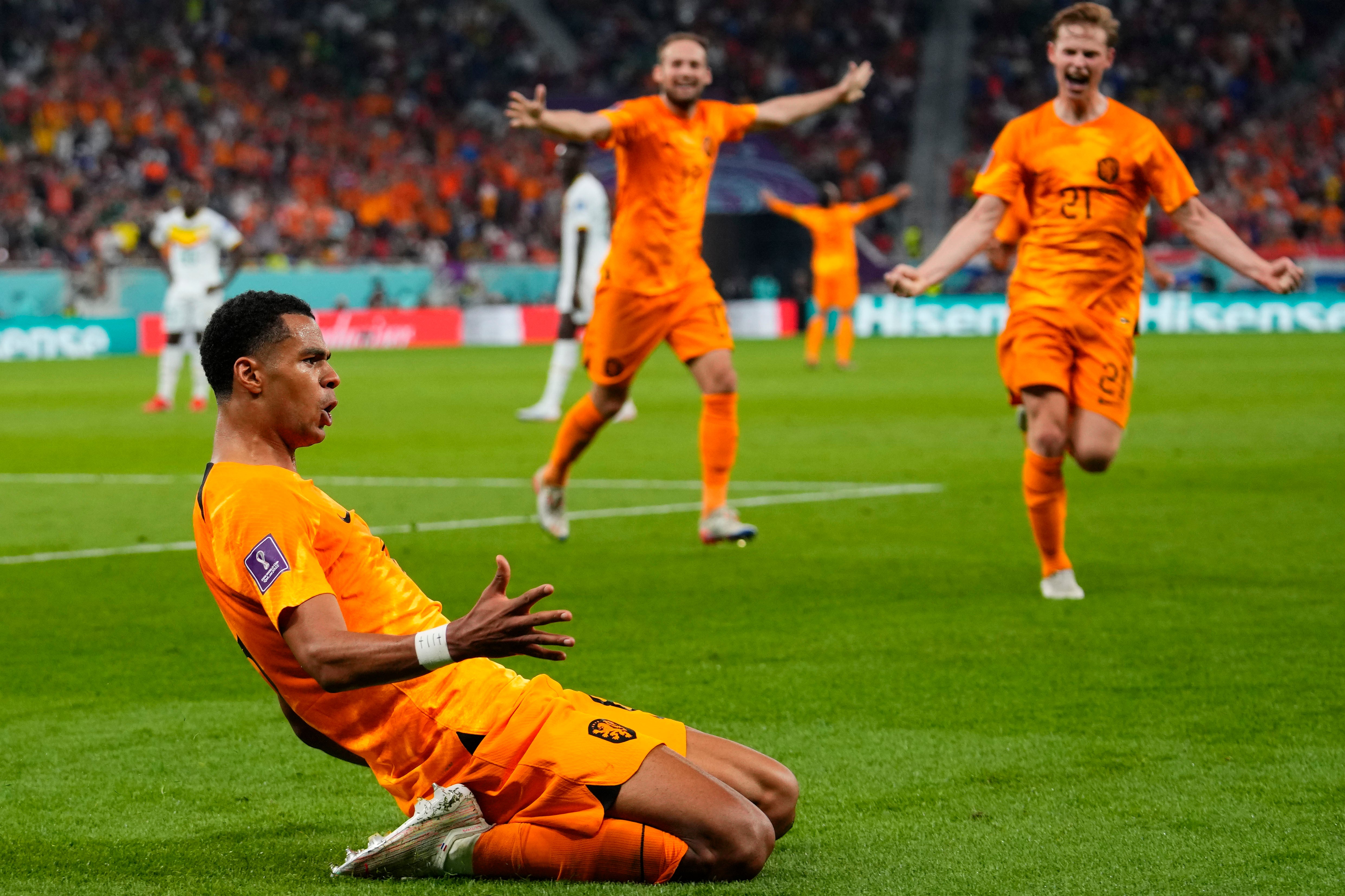 Cody Gakpo of the Netherlands celebrates scoring the opening goal