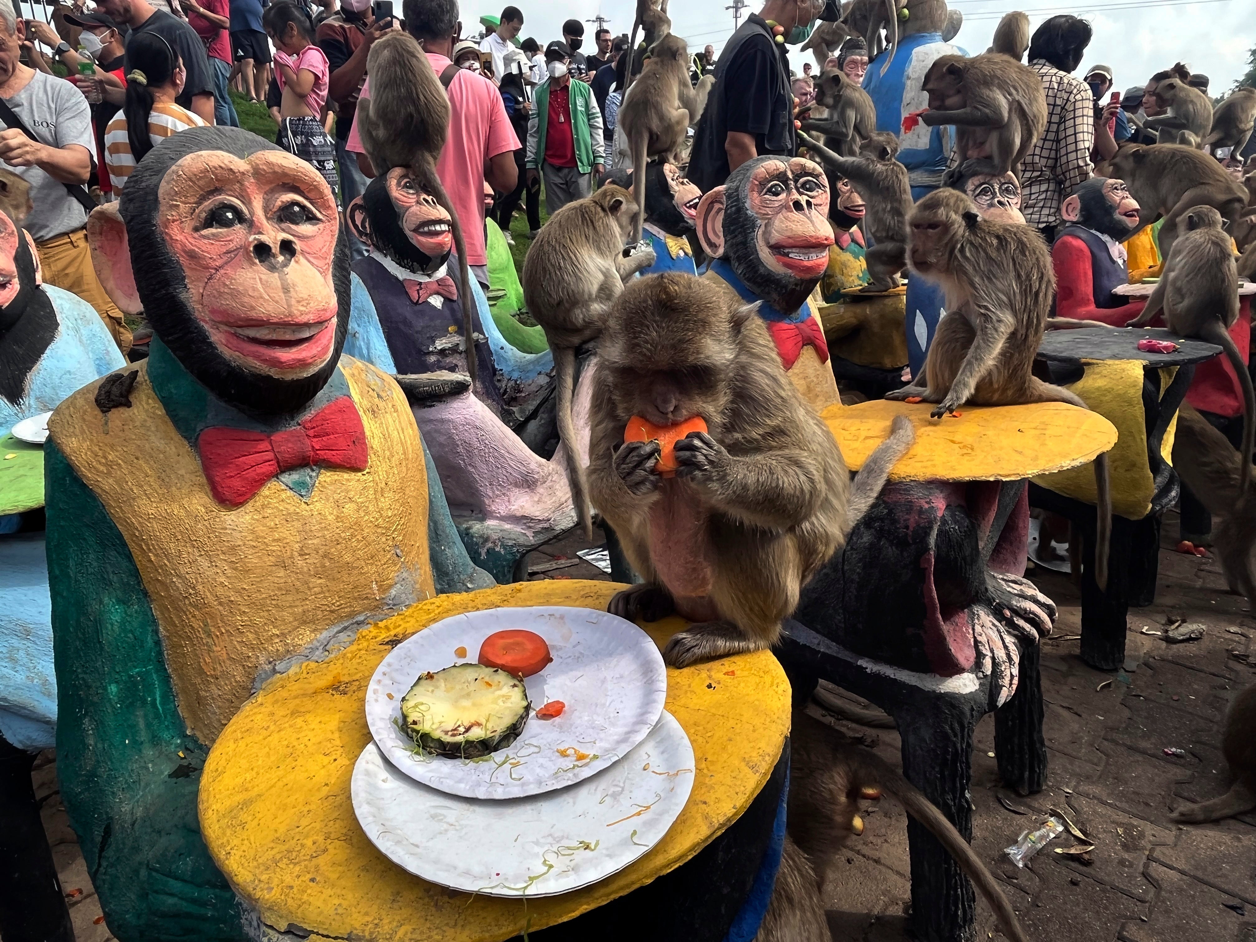 Thailand Monkey Festival