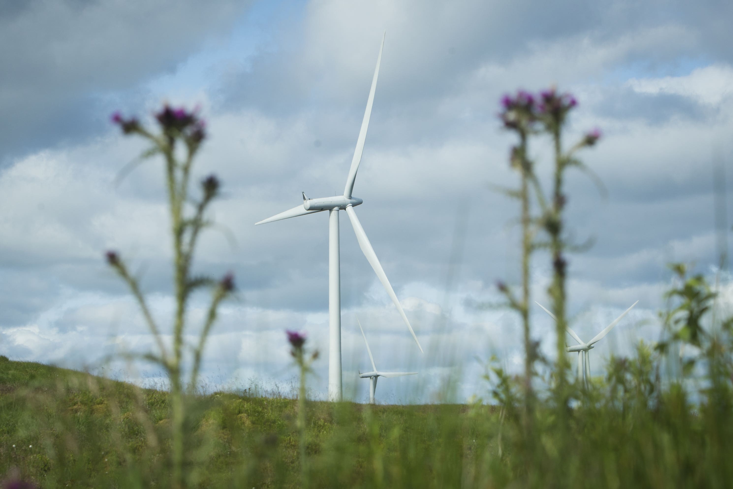 Business Secretary Grant Shapps has hinted that Prime Minister Rishi Sunak could back down over a ban on onshore wind farms amid a growing Tory rebellion (Danny Lawson/PA)