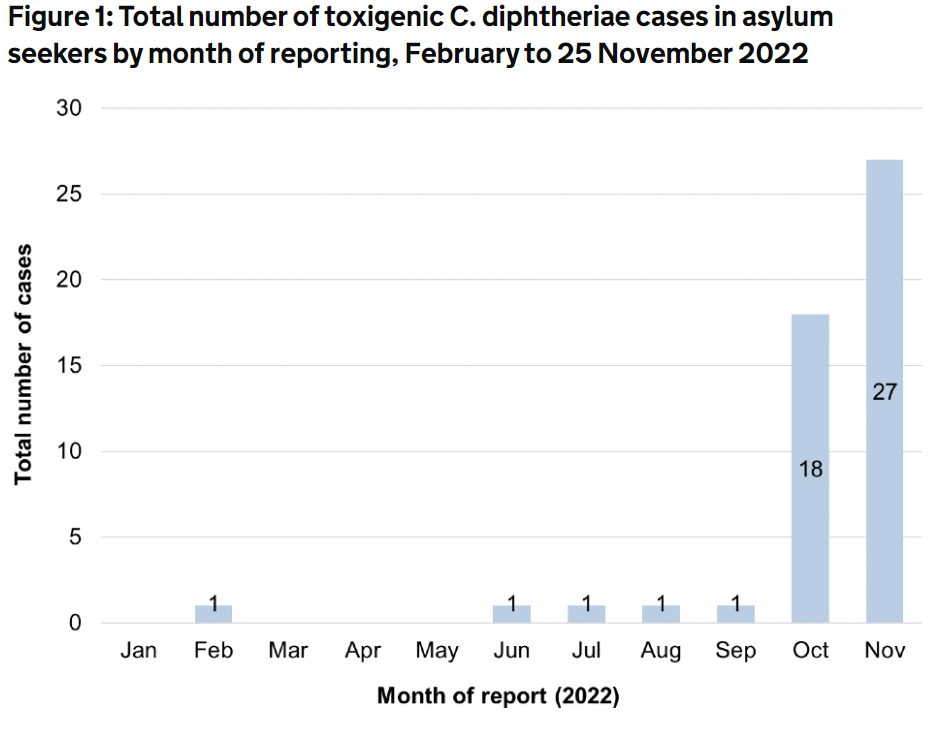 There has been a significant rise in diphtheria cases over recent months