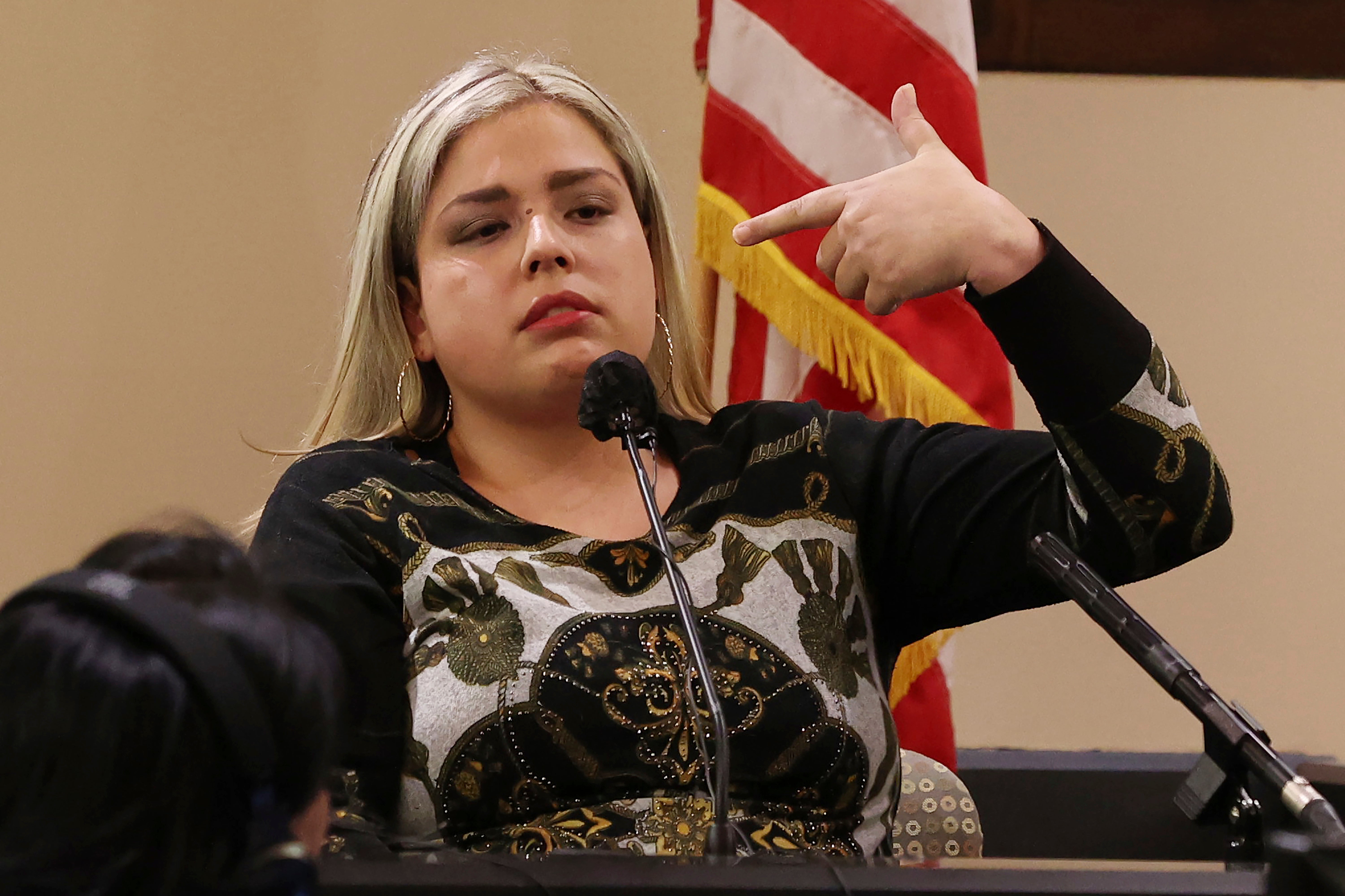 Border Agent Arrested