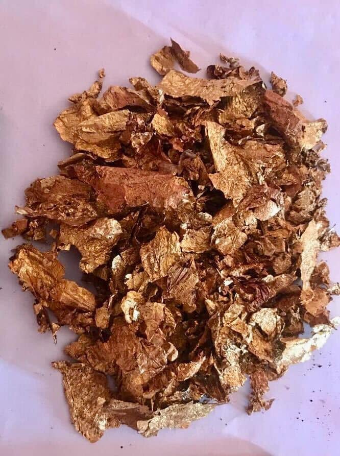 Gold chips discovered during the recent excavation