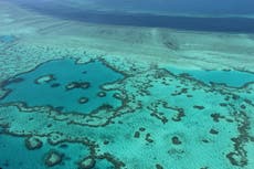 Australia’s Great Barrier Reef should be listed as a world heritage site ‘in danger’, says UN panel