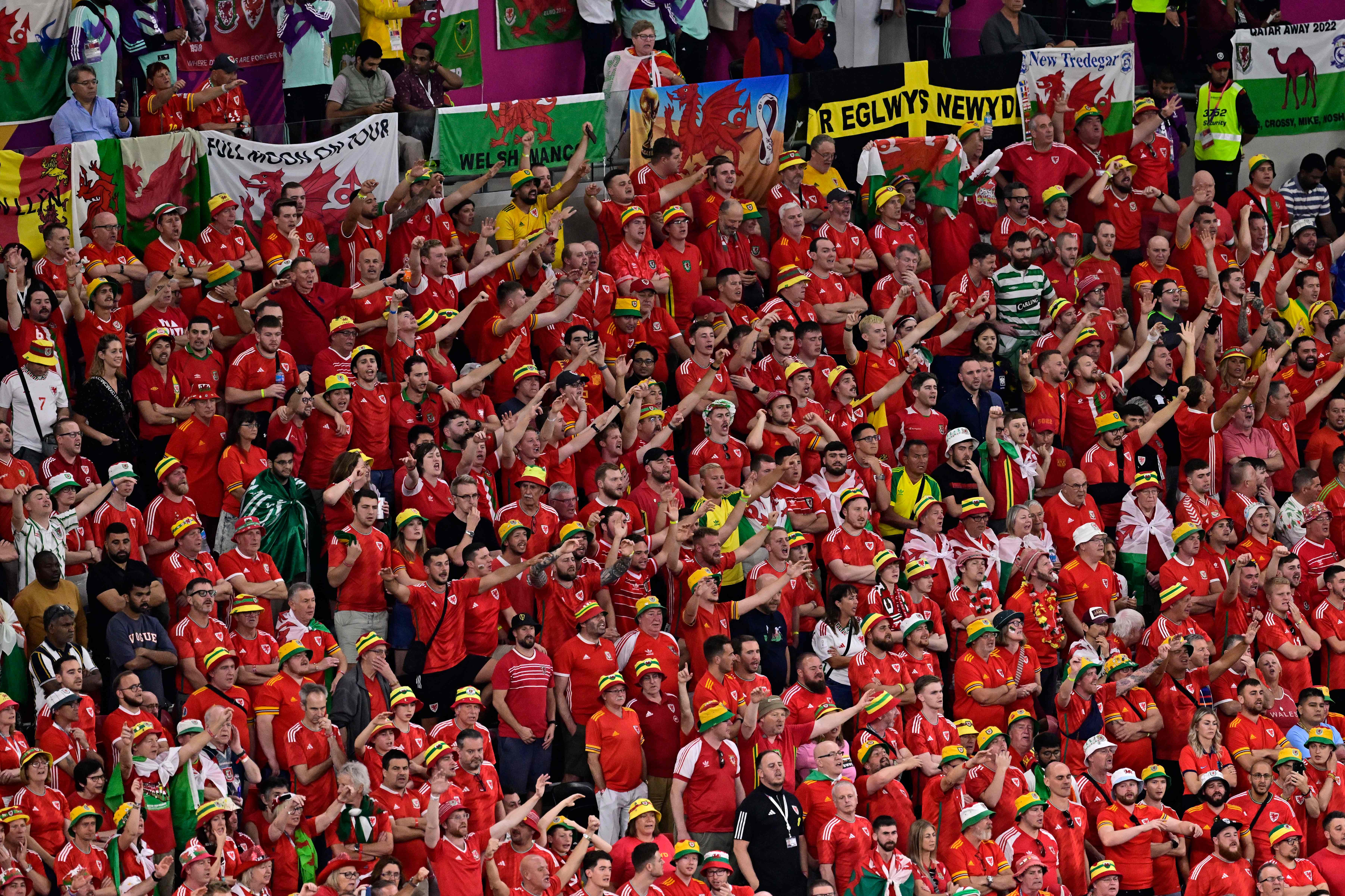 Wales supporters cheer during the match