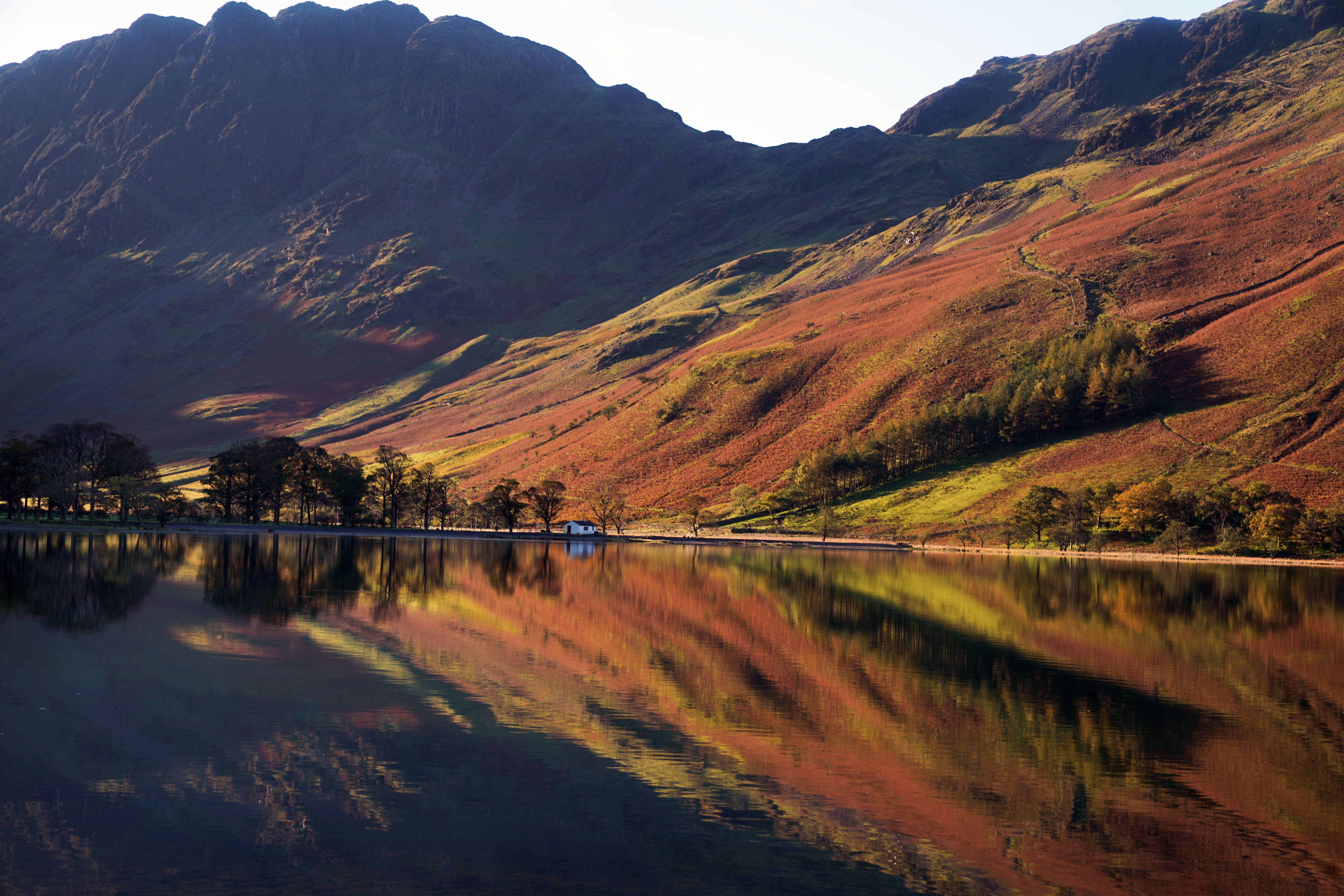 The Wildlife Trusts have said the Government has failed to keep promises on restoring nature (Owen Humphreys/PA)