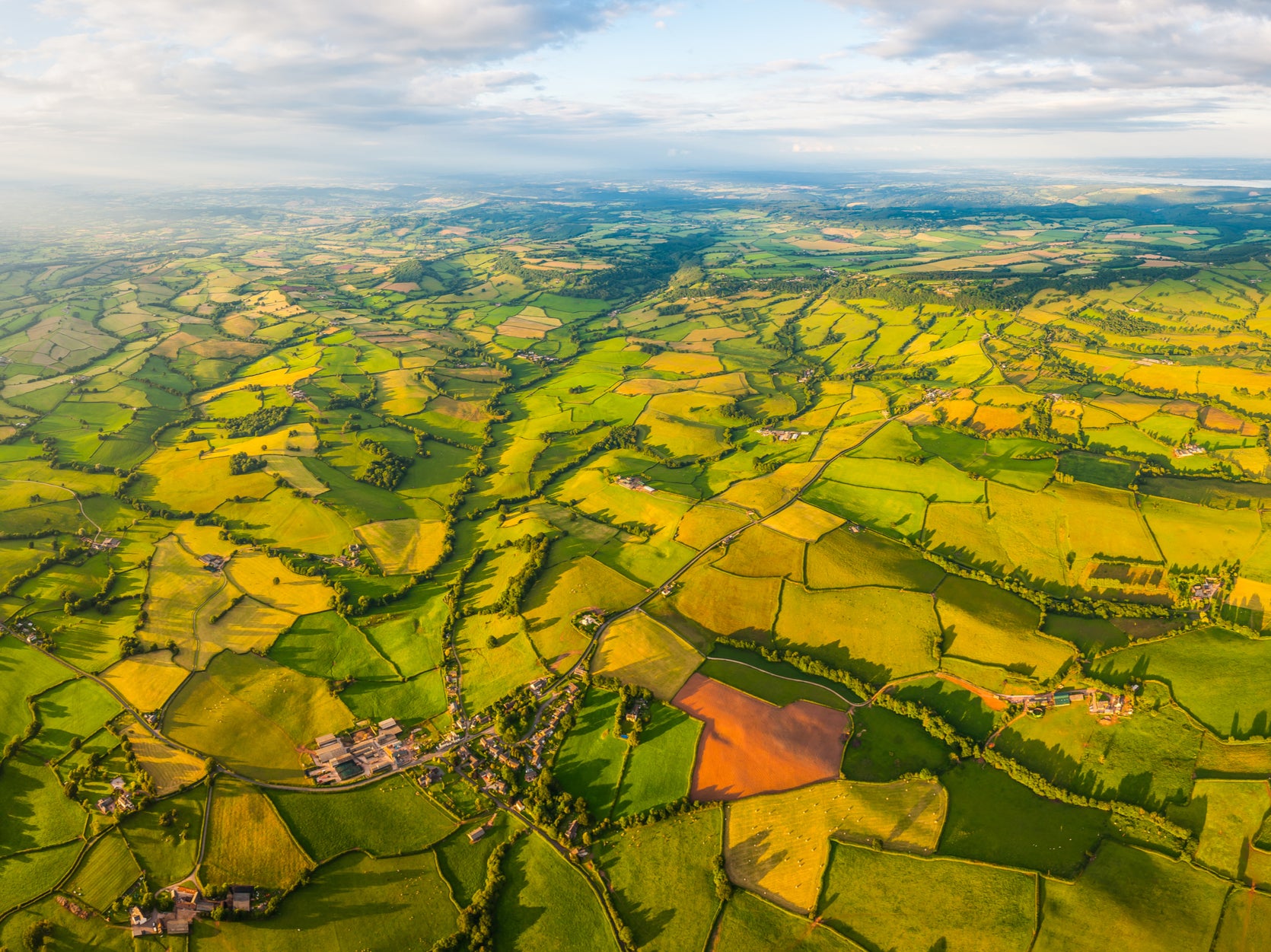 Farmland in Wales – agricultural sprawl has robbed the UK of its natural habitats, leaving the country one of the world’s most nature depleted places