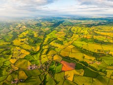 UK risks ‘major embarrassment on global stage’ at UN biodiversity summit over Brexit law fiasco