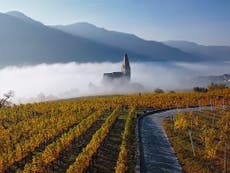 Uncorked: Where should I start with Austrian natural wine?