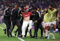 Pitch invader runs on with Palestine flag during Tunisia vs France at World Cup