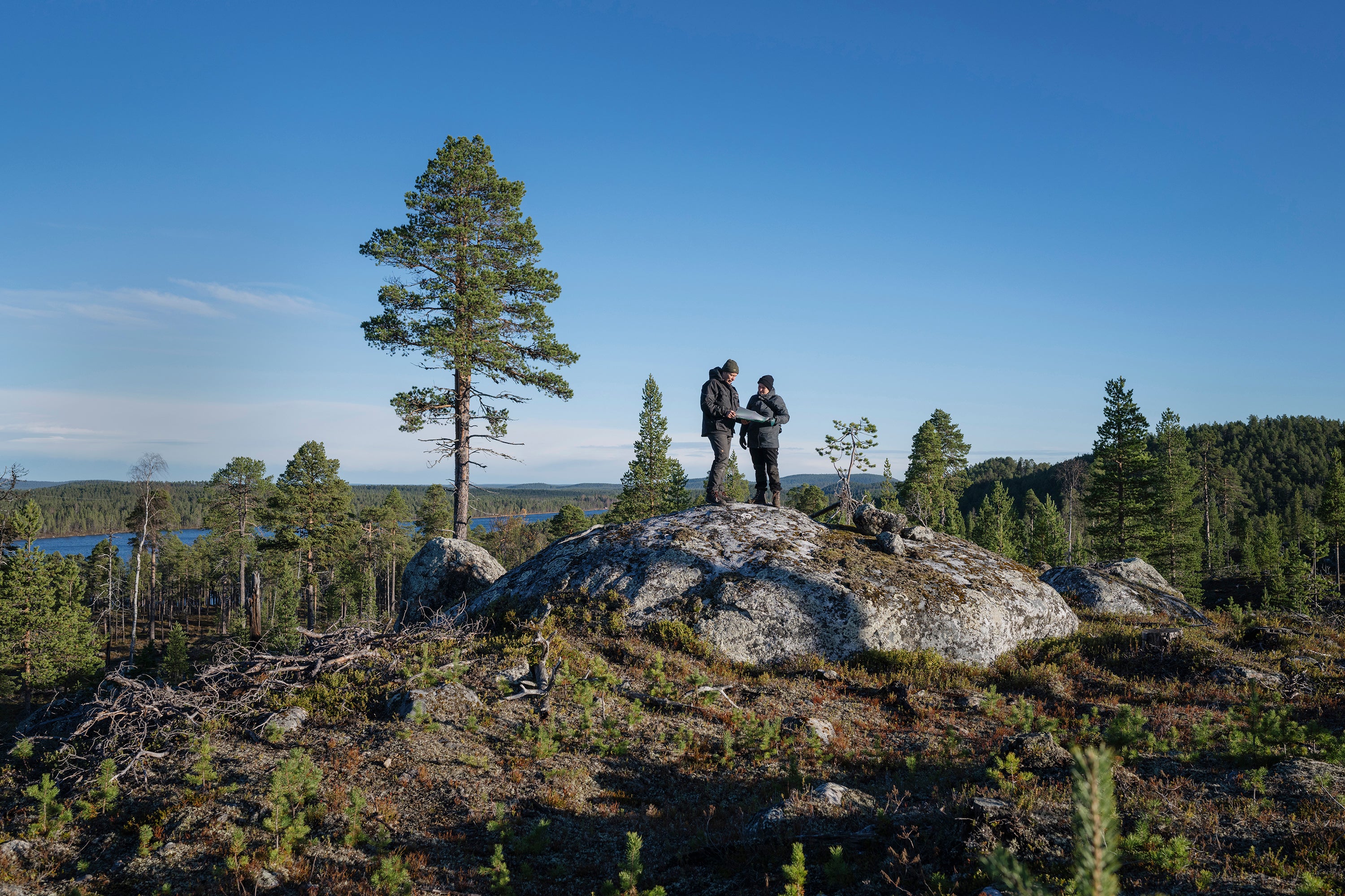 Feodoroff and Jarmo Pyykkö in Retsamo, an area that was logged before 1994