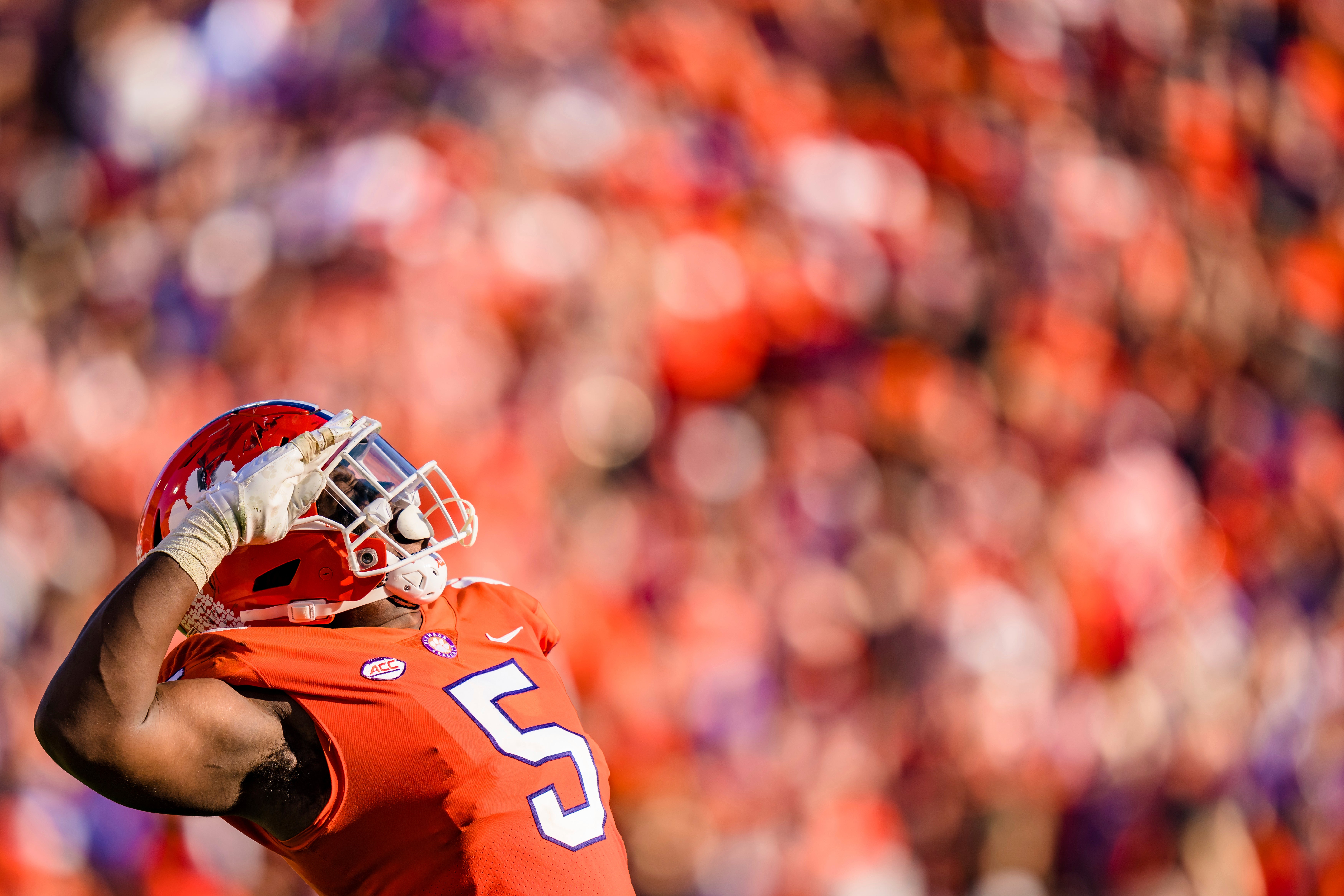 APTOPIX South Carolina Clemson Football