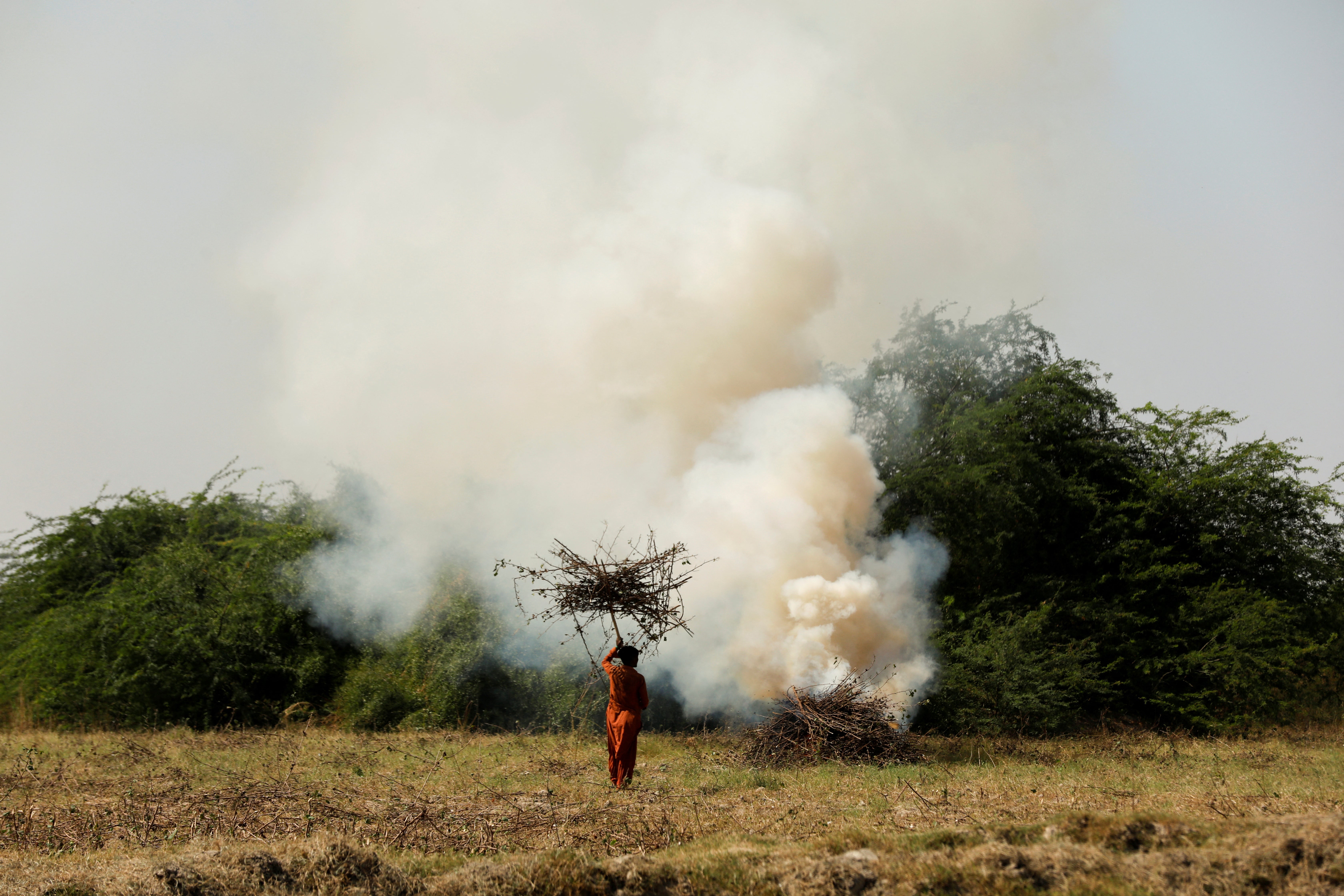 A worker burns cotton plants damaged by rain water and floods to prepare the soil for the next crop, following monsoon season