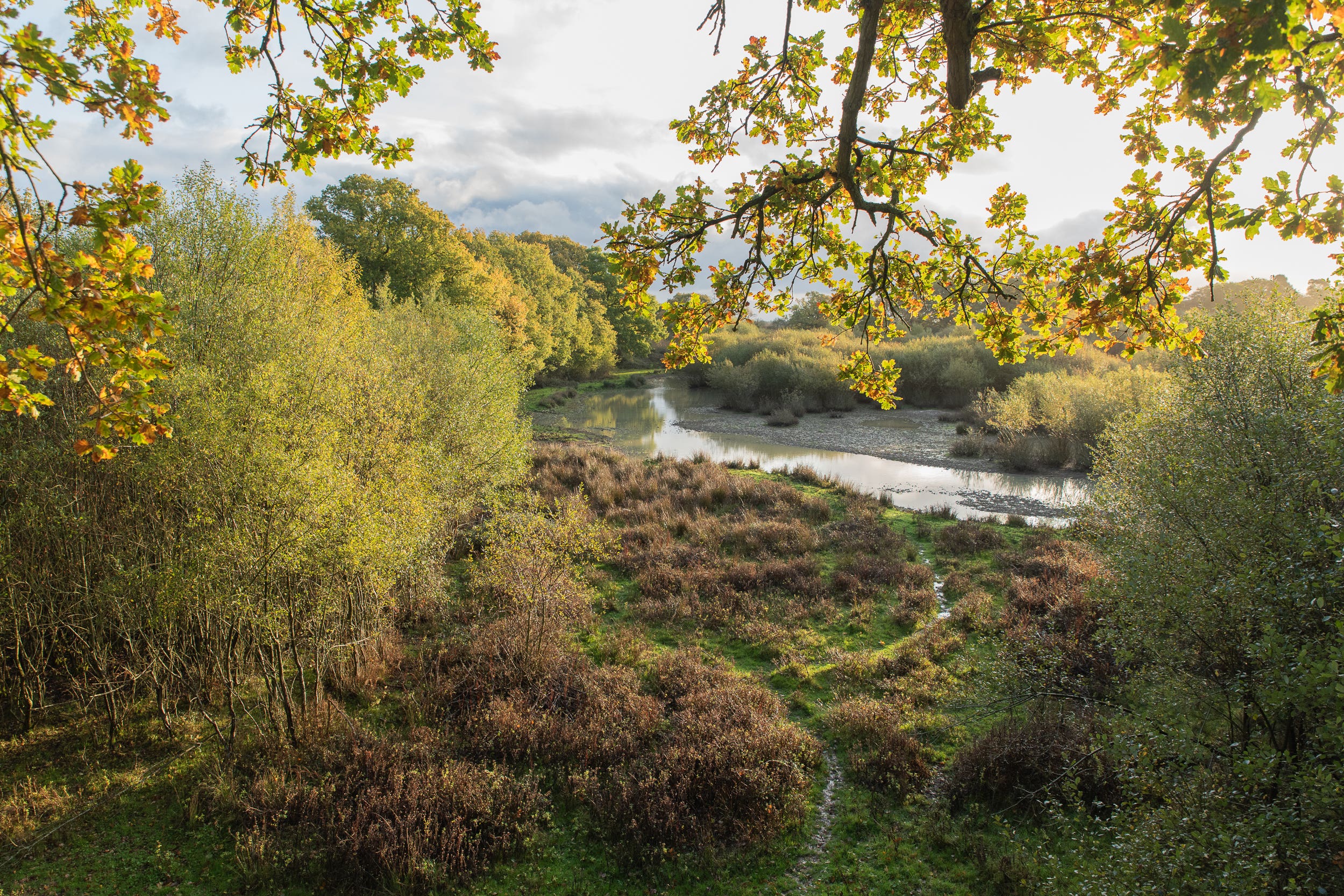 Rewilding is the large-scale restoration of nature to the point it can take care of itself (Sam Rose/whatifyoujustleaveit.info/PA)