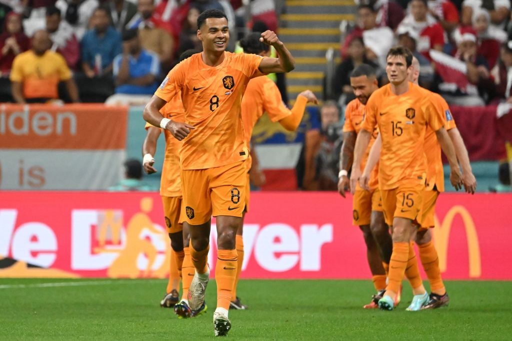 Netherlands' forward Cody Gakpo celebrates scoring